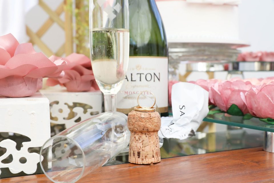 Enlace Civil Thais & Thiago