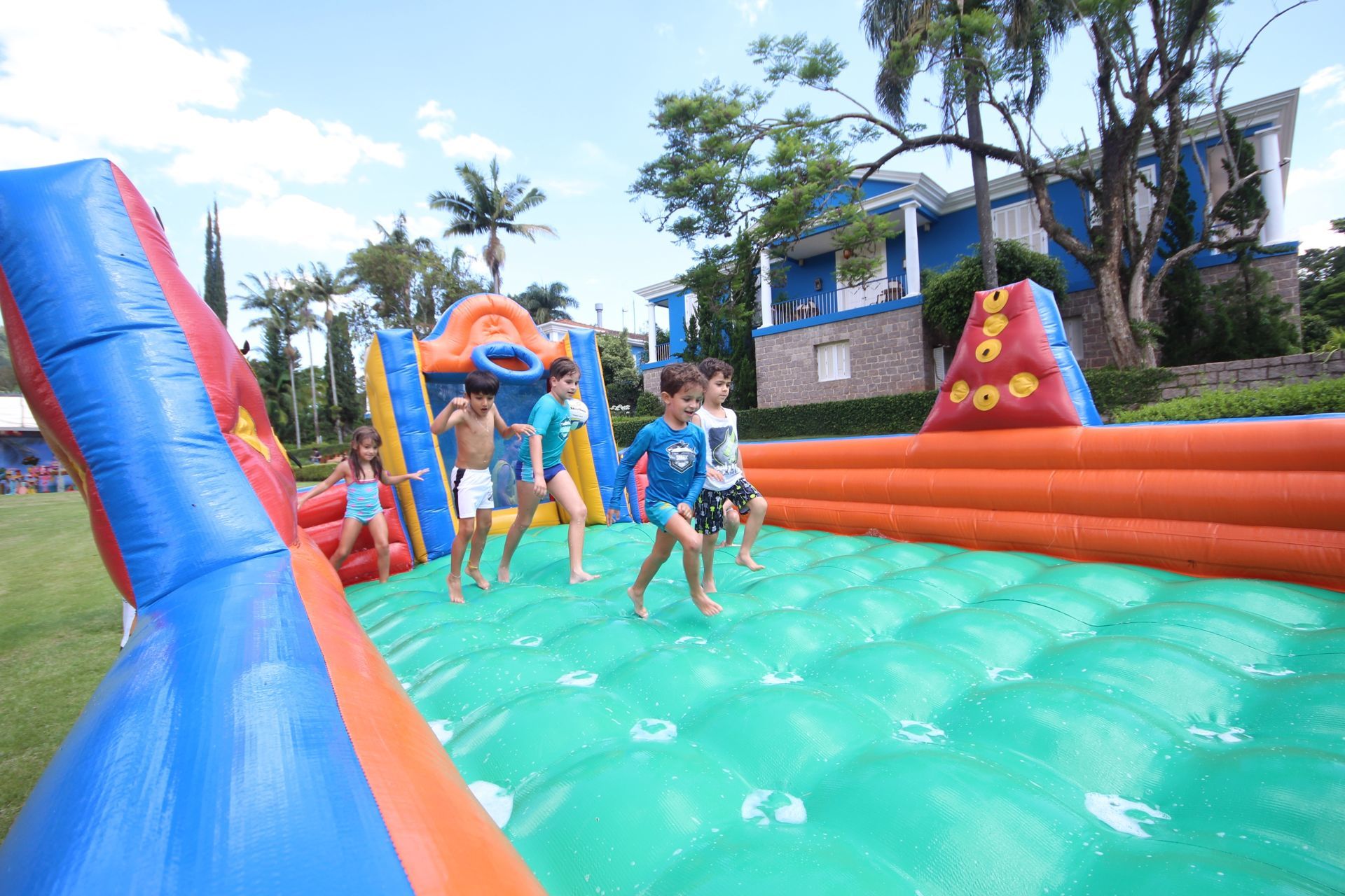 Foto Laura -  Flamingos - Imagem 21