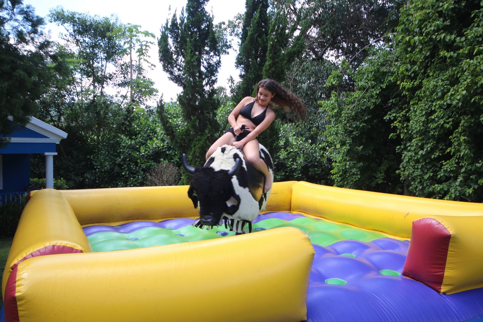 Foto Laura -  Flamingos - Imagem 22