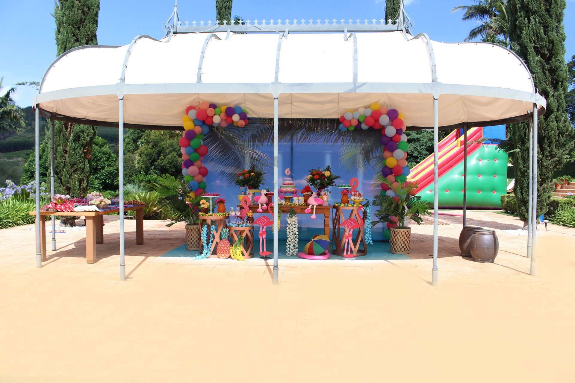 Foto Laura -  Flamingos - Imagem 39