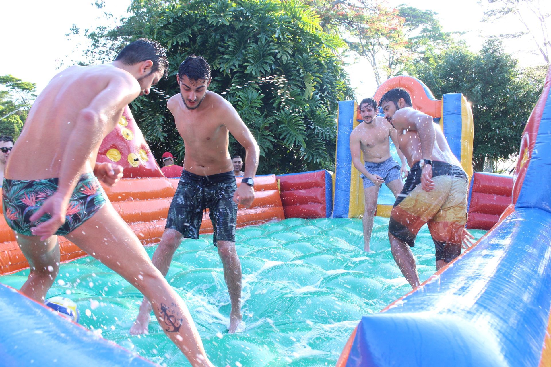 Foto Laura -  Flamingos - Imagem 58