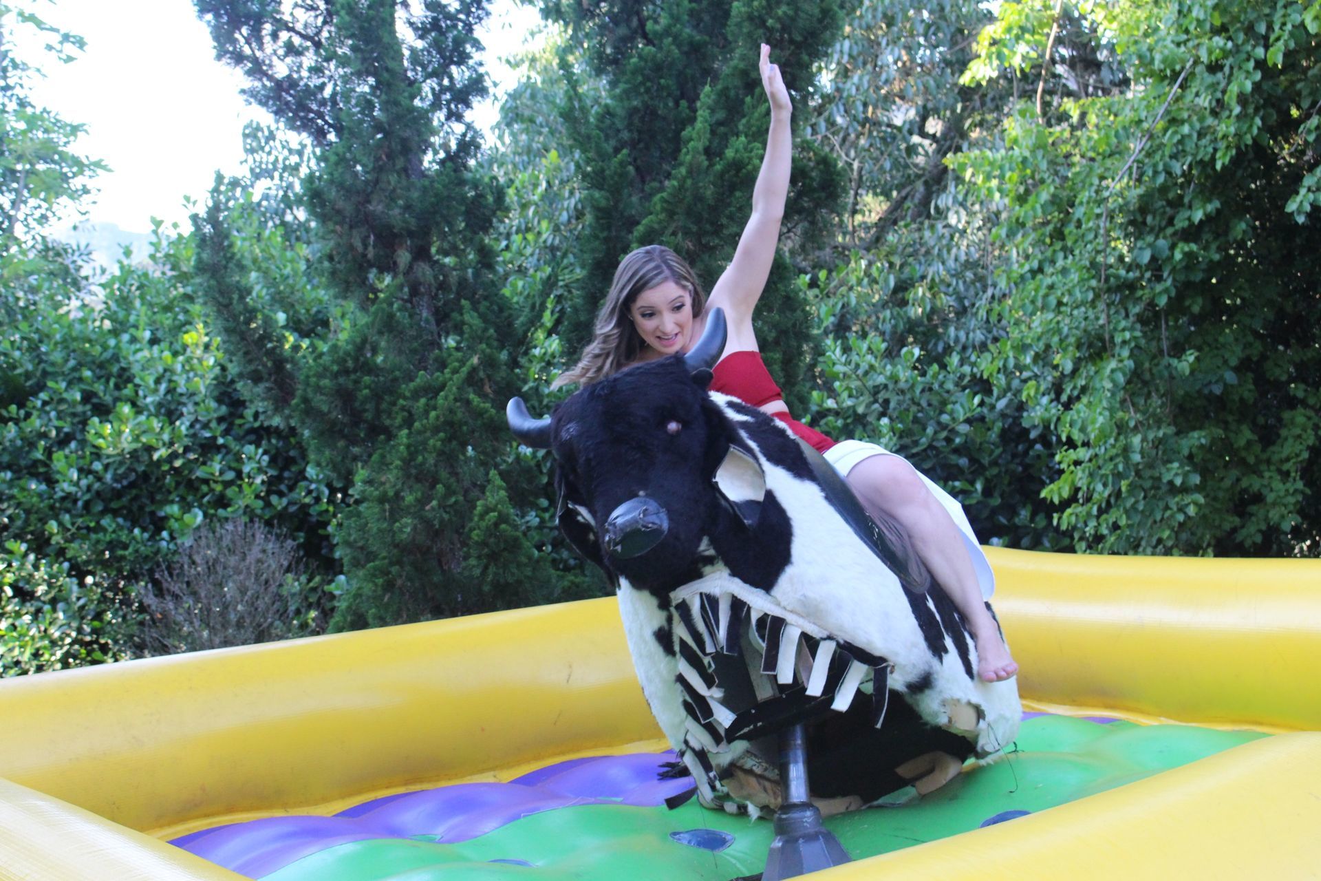 Foto Laura -  Flamingos - Imagem 57