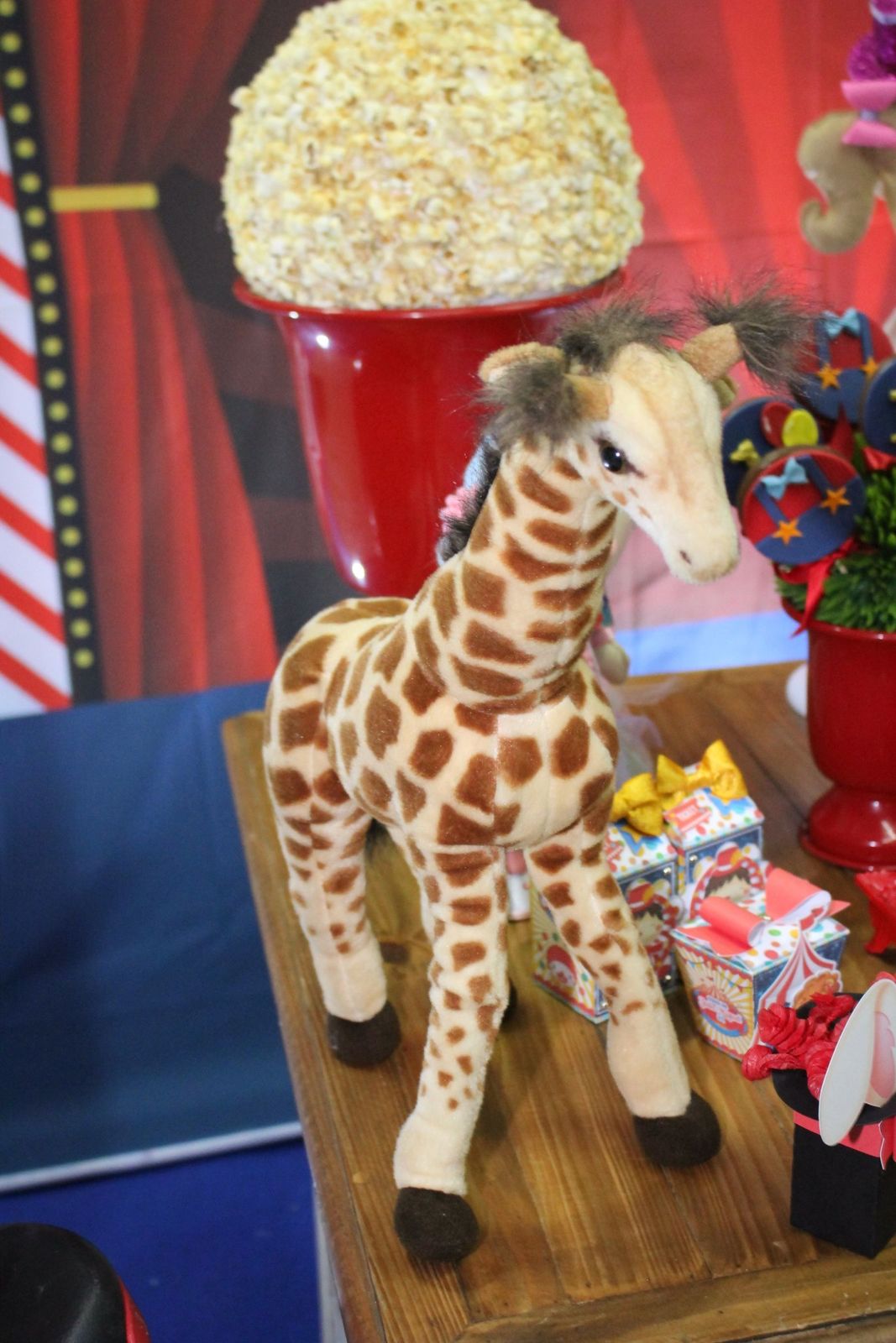 Foto João Miguel 1 - Circo - Turma do Juba - Imagem 22