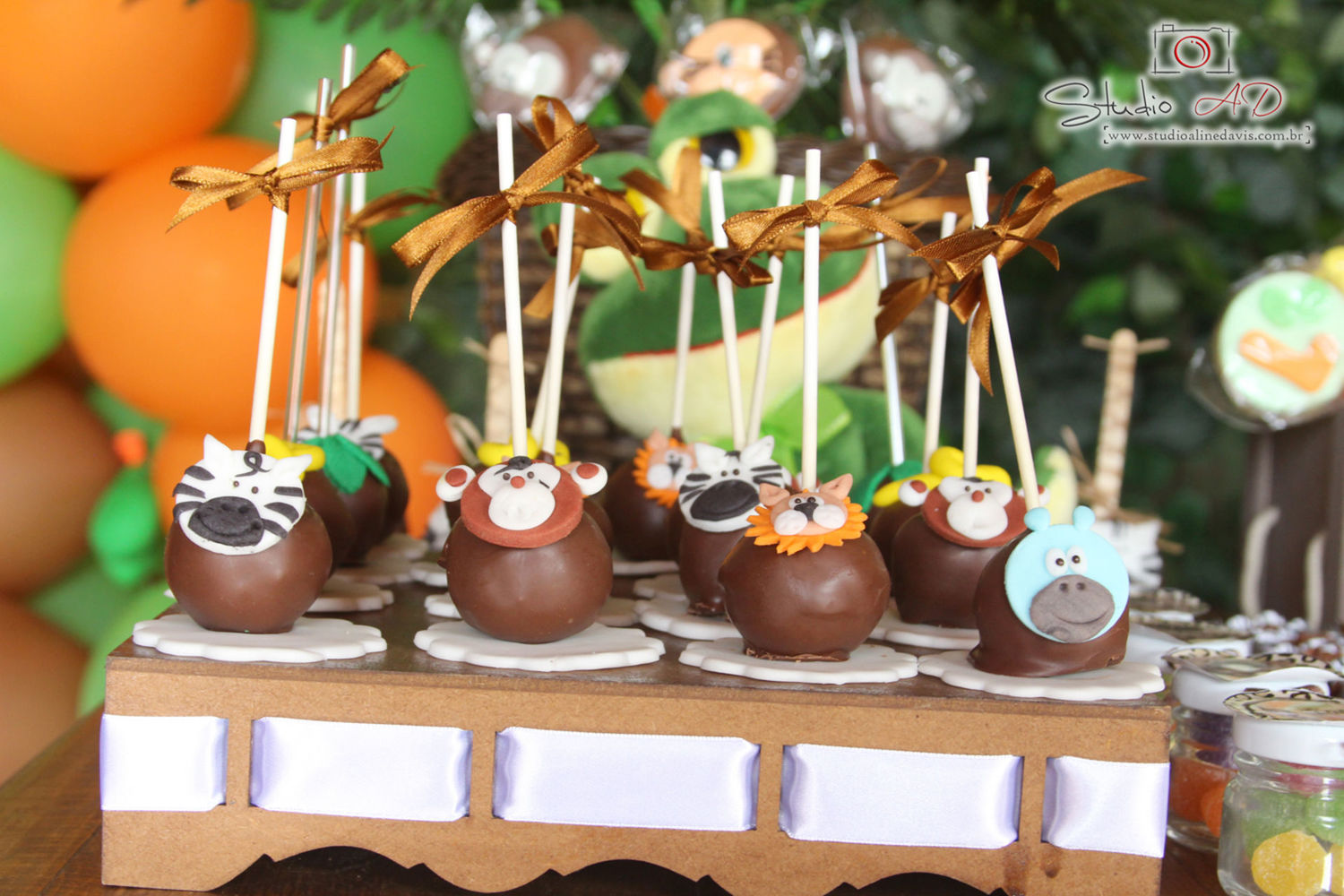 Foto Lucas 3 - Safari - Imagem 20