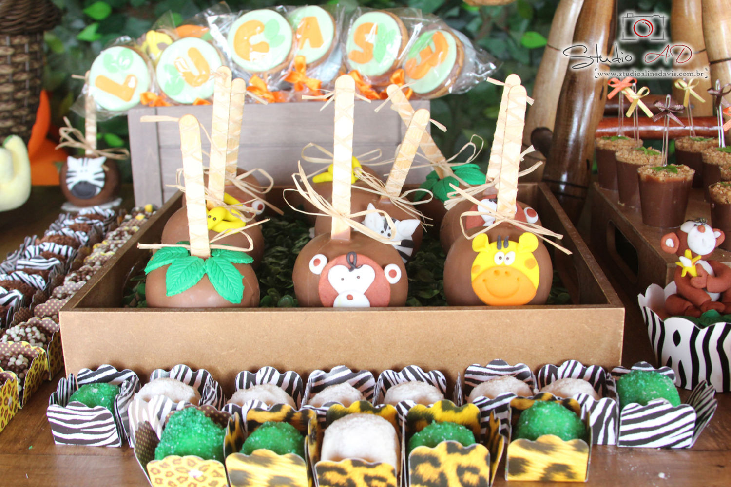 Foto Lucas 3 - Safari - Imagem 23