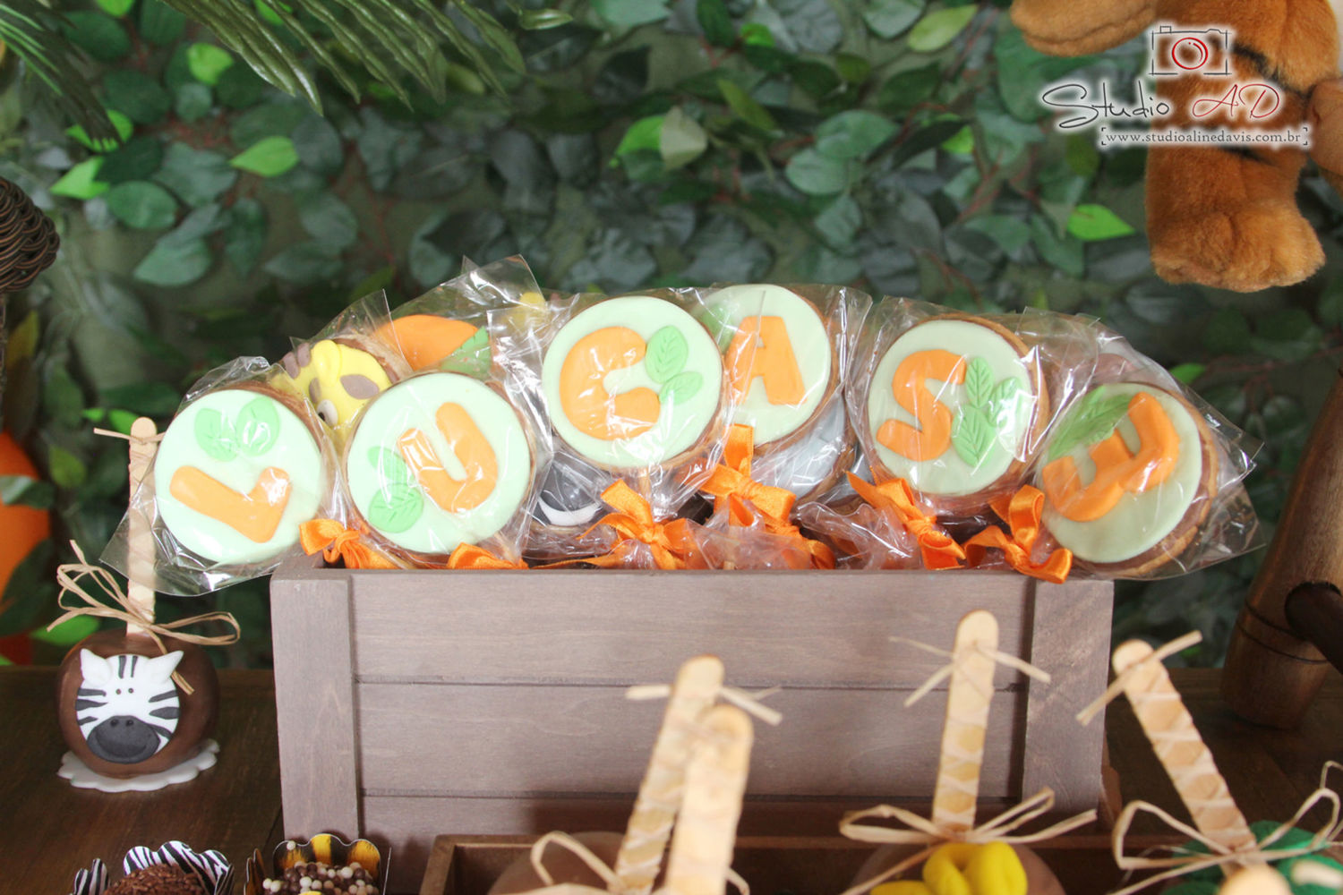 Foto Lucas 3 - Safari - Imagem 22