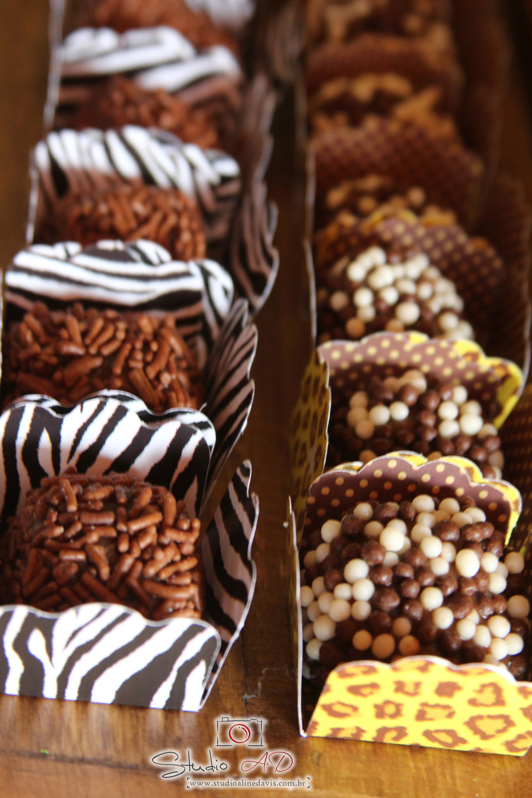 Foto Lucas 3 - Safari - Imagem 21