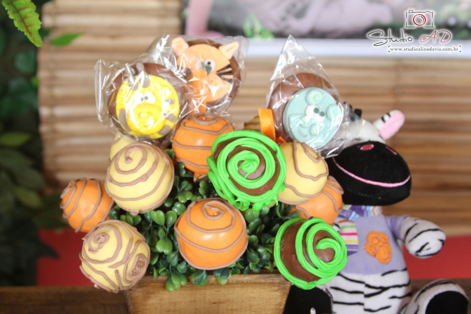 Foto Lucas 3 - Safari - Imagem 26