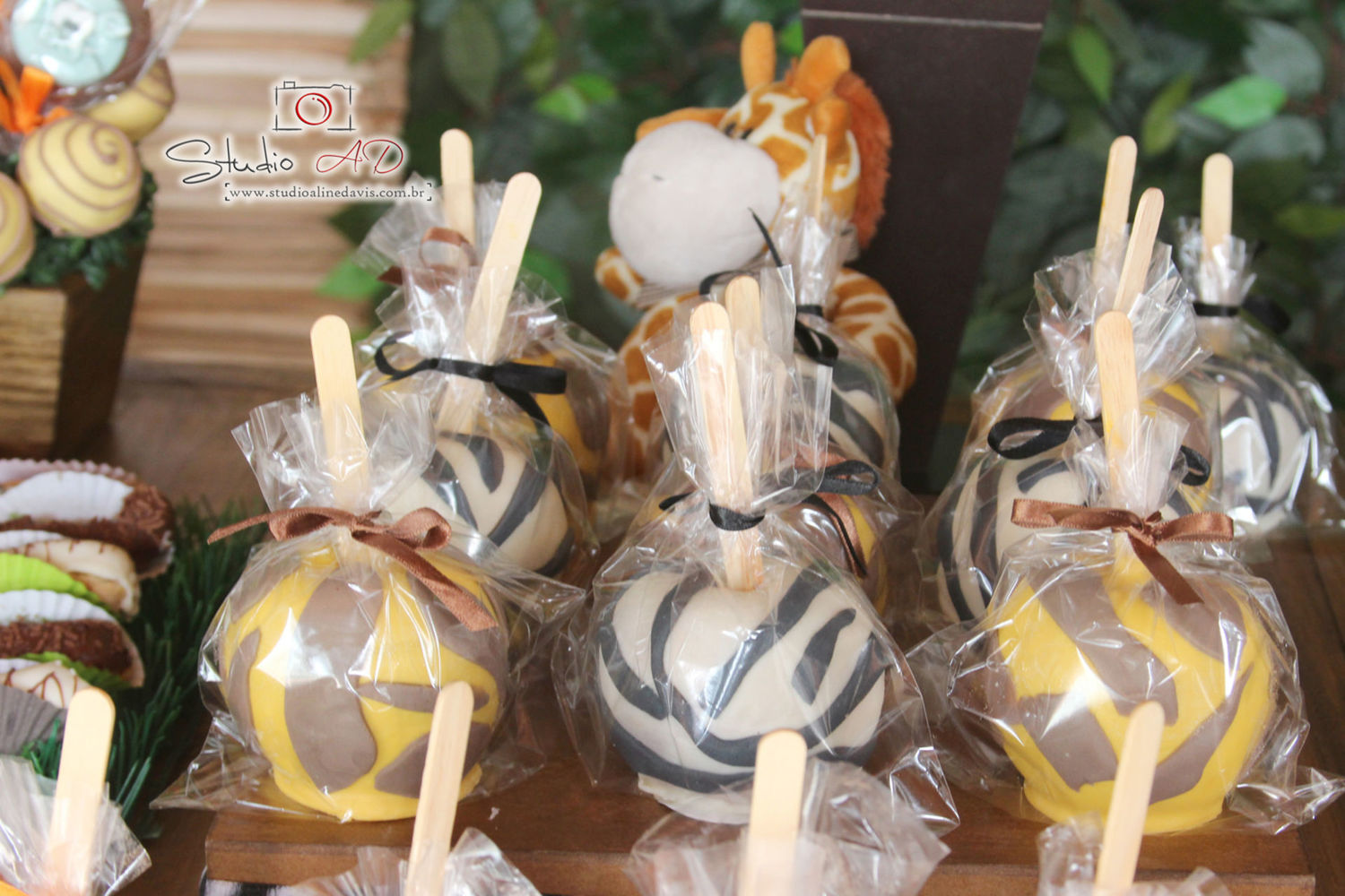 Foto Lucas 3 - Safari - Imagem 28