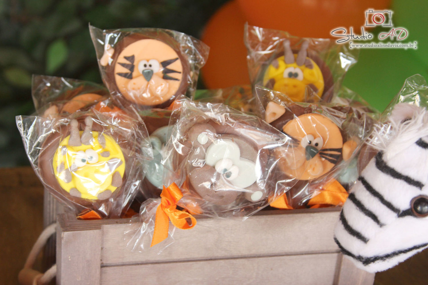 Foto Lucas 3 - Safari - Imagem 31