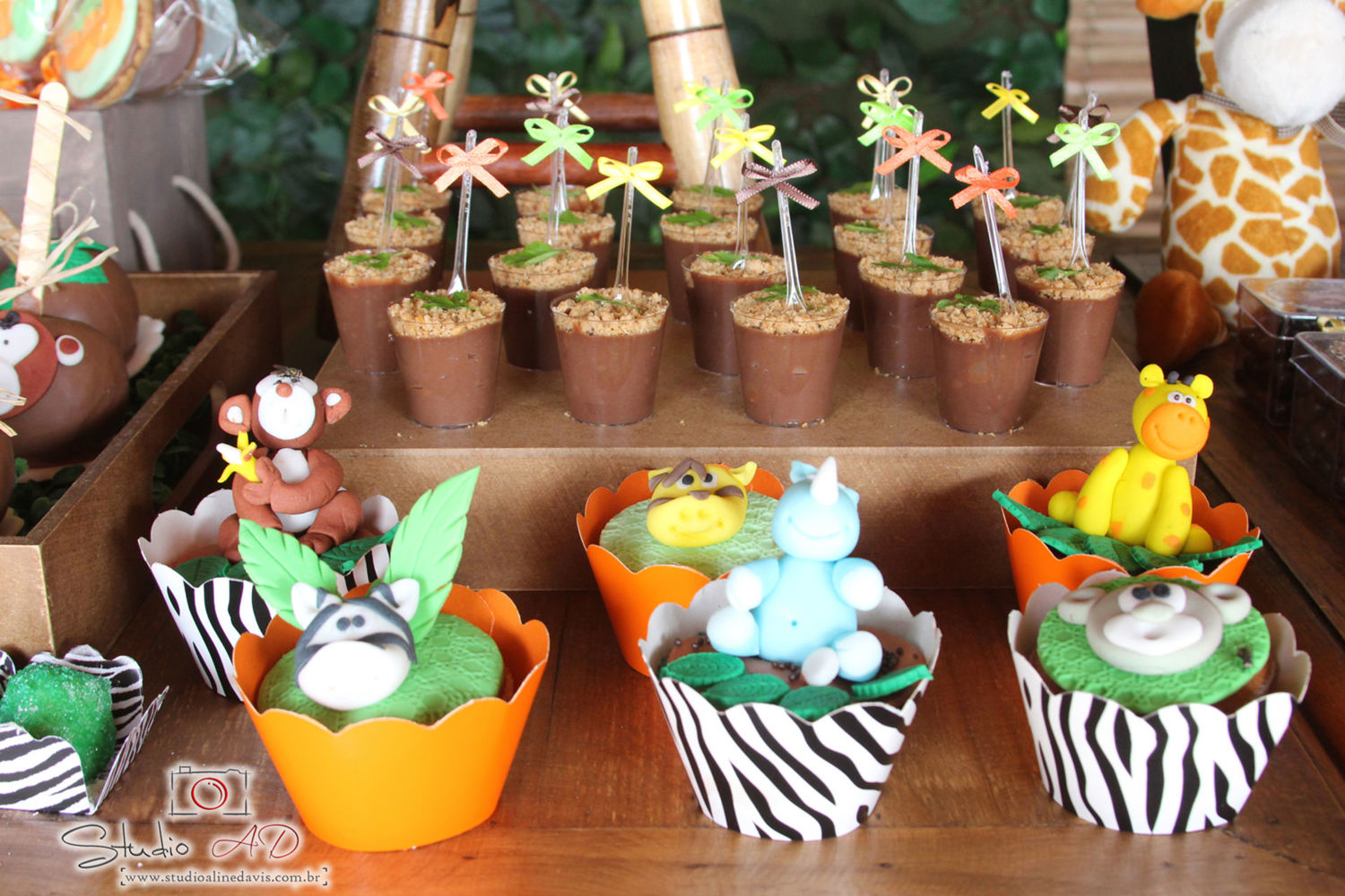 Foto Lucas 3 - Safari - Imagem 24