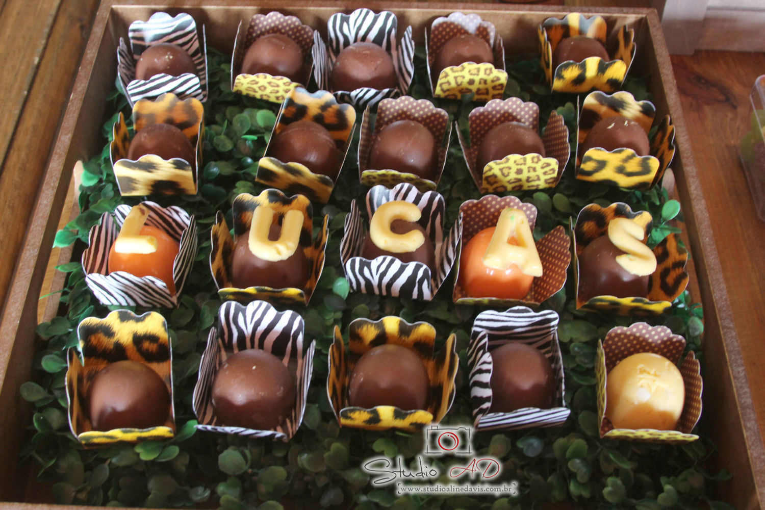 Foto Lucas 3 - Safari - Imagem 33