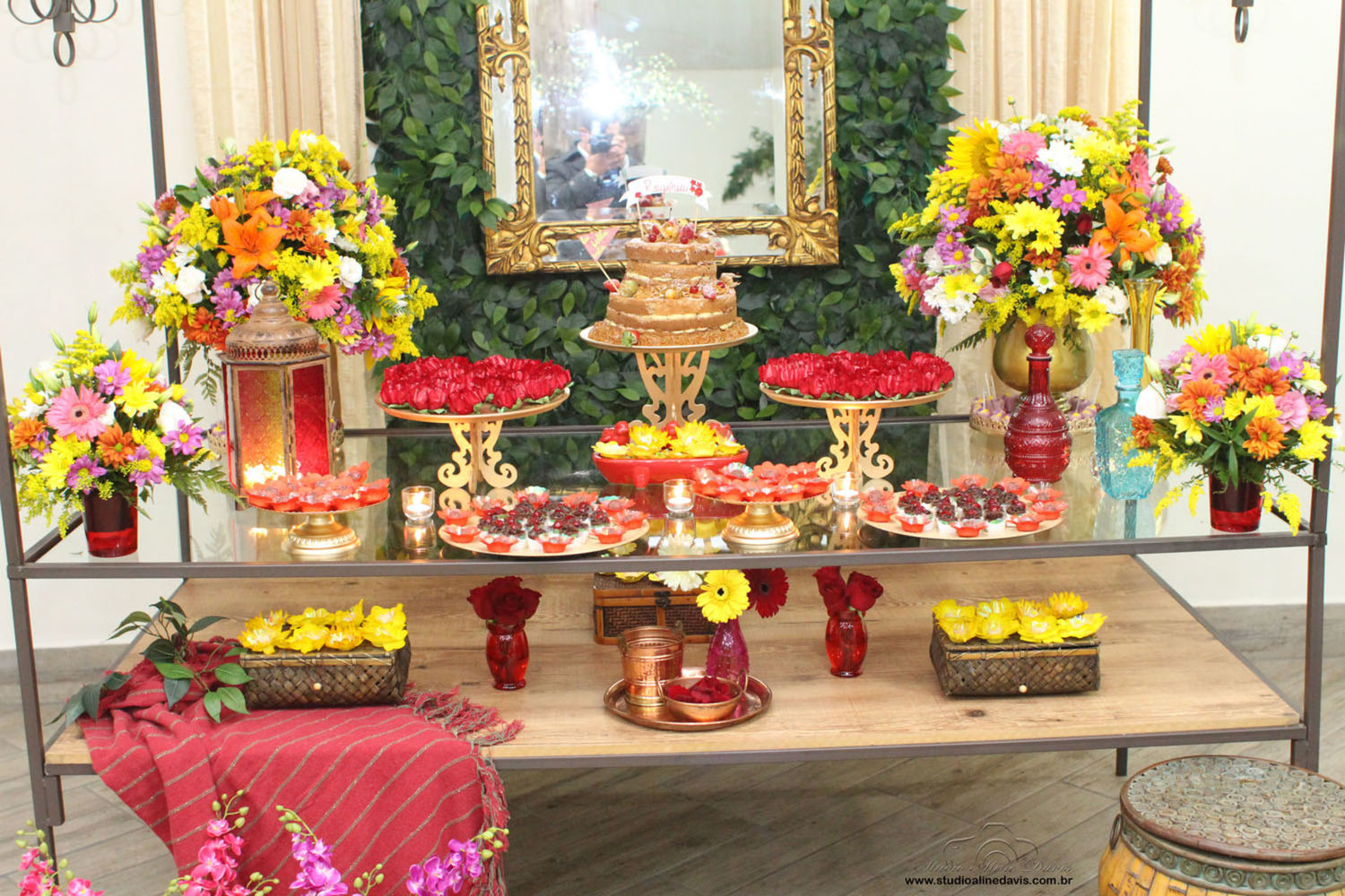 Foto Rogeria 5.0 - Festa Cigana - Imagem 7