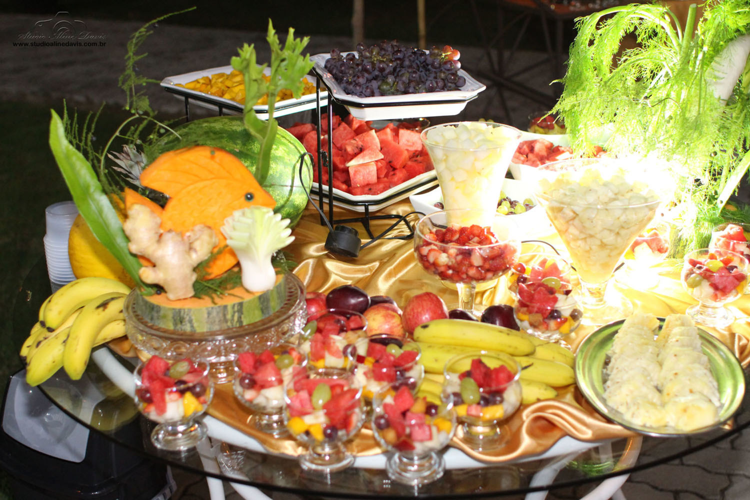 Foto Rogeria 5.0 - Festa Cigana - Imagem 10