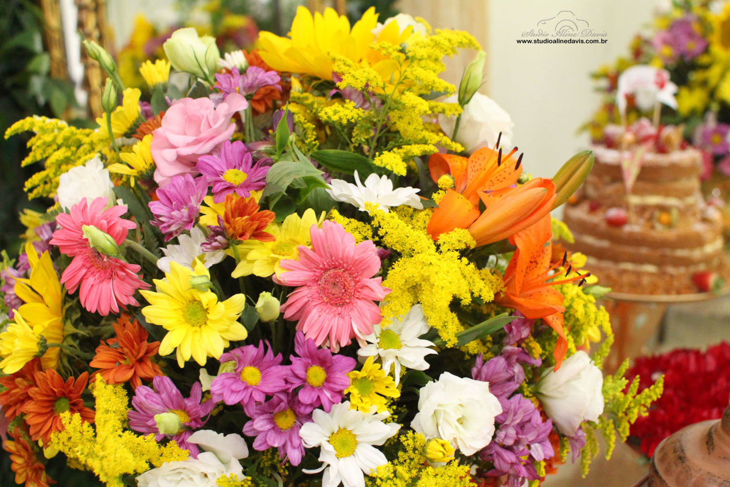 Foto Rogeria 5.0 - Festa Cigana - Imagem 6