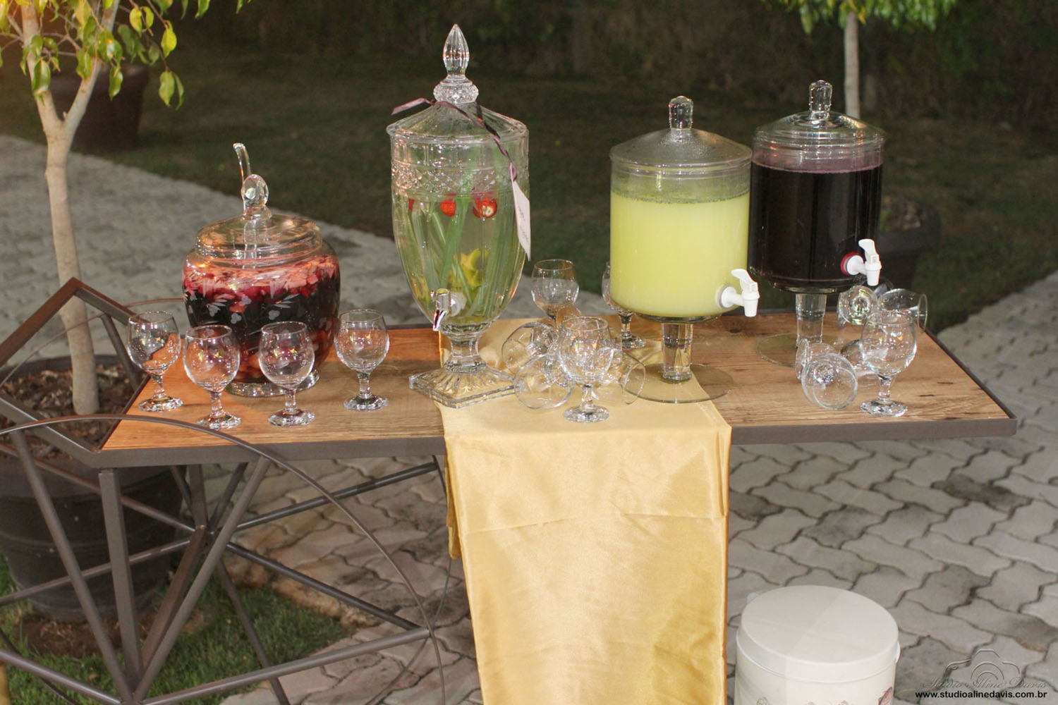 Foto Rogeria 5.0 - Festa Cigana - Imagem 11