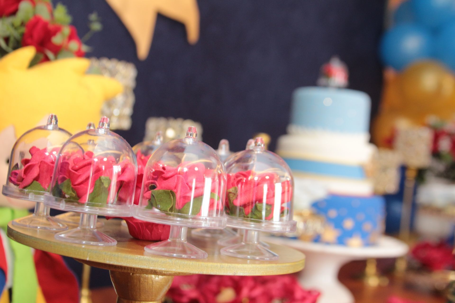 Foto Gabriel 1 - O Pequeno Principe - Imagem 13