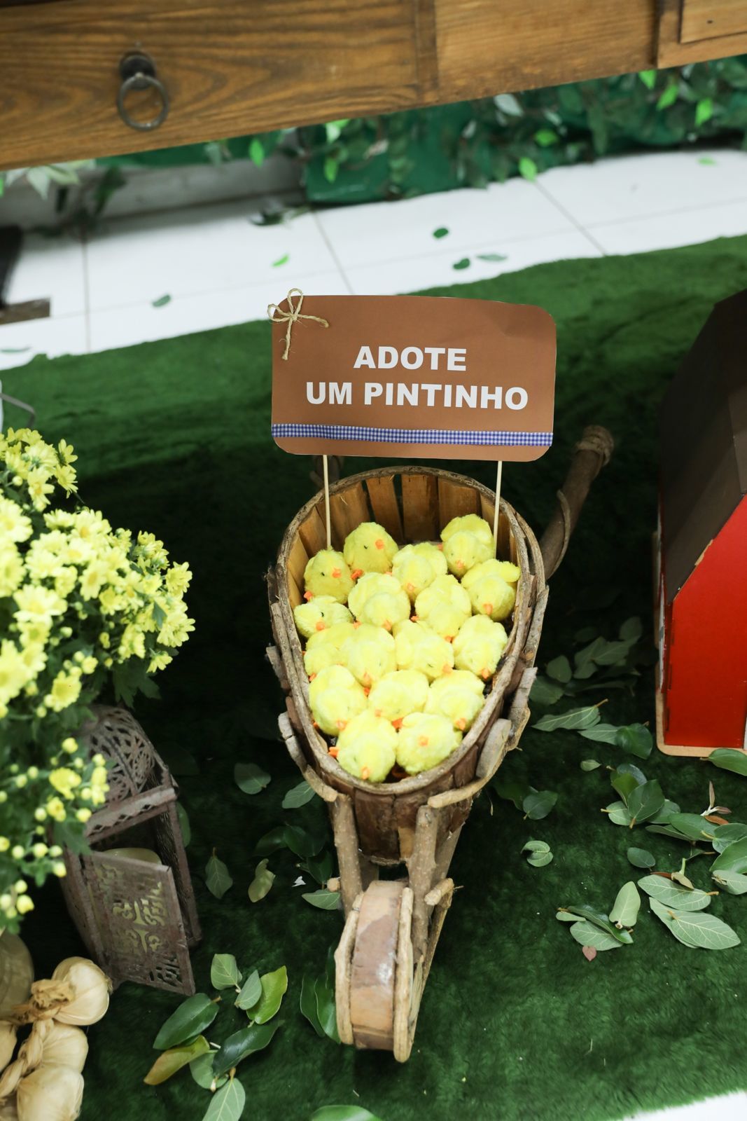 Foto Nicolas 1 - Fazendinha - Fantastic Place - Imagem 18