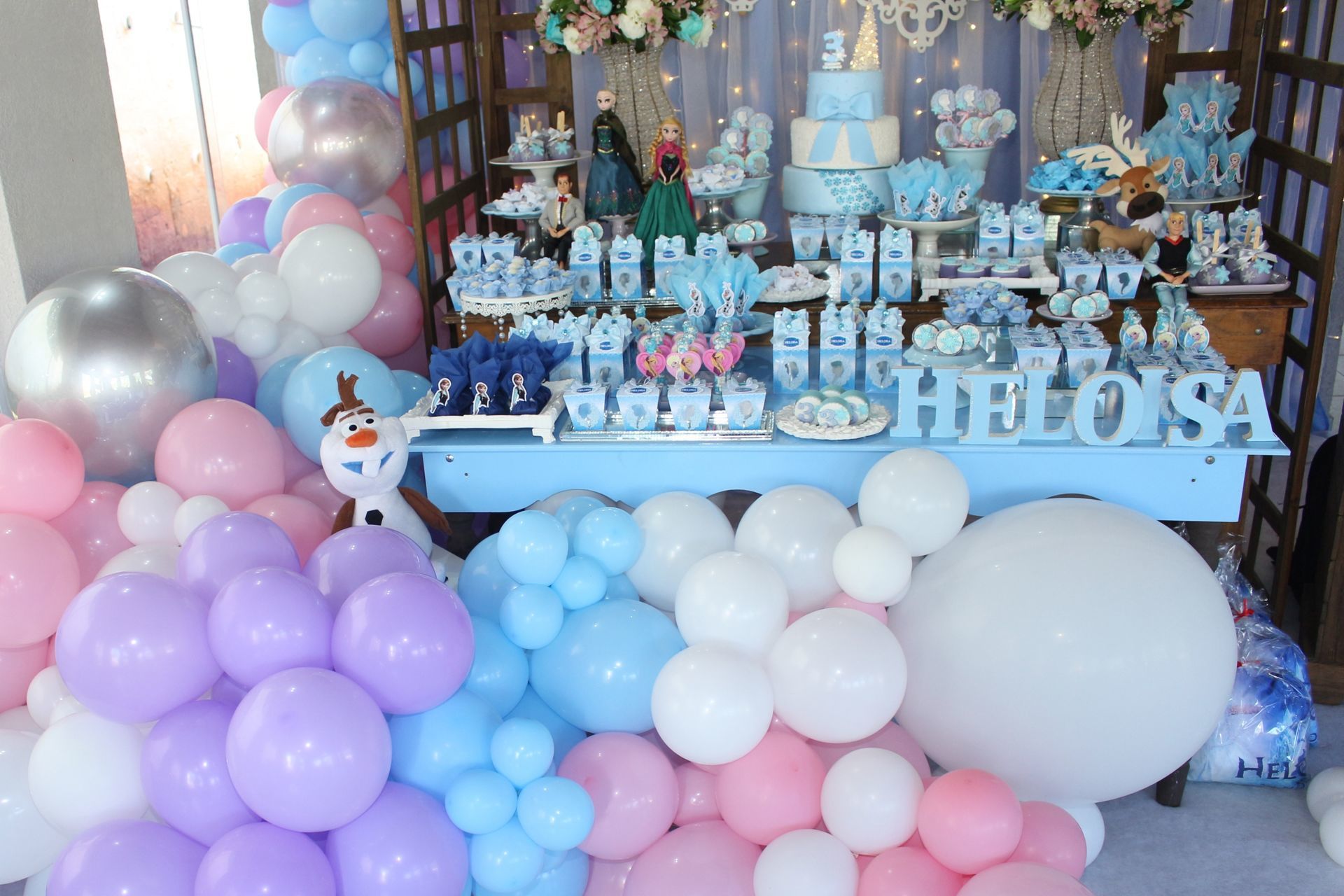 Foto Heloisa - Frozen - Imagem 3