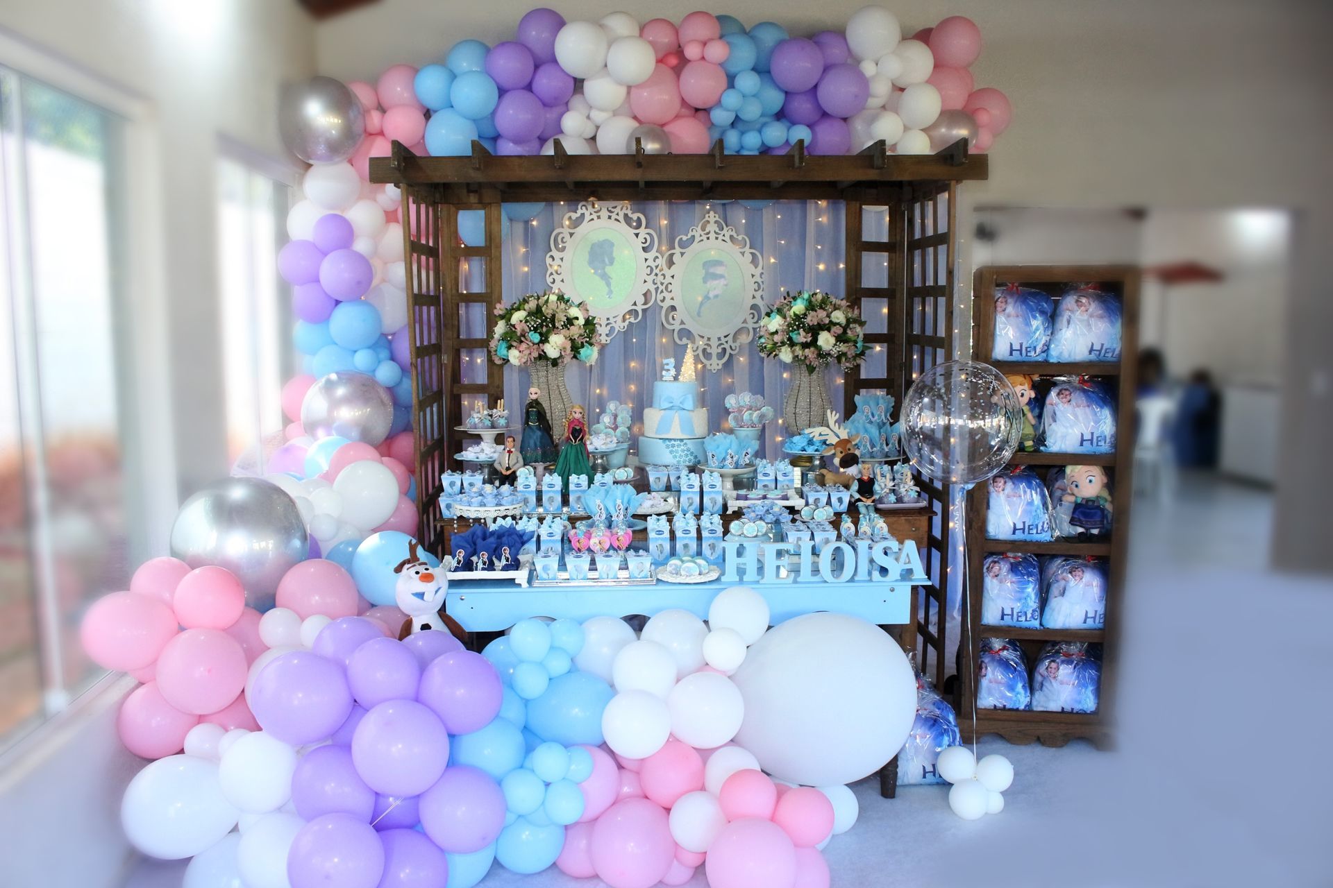 Foto Heloisa - Frozen - Imagem 2