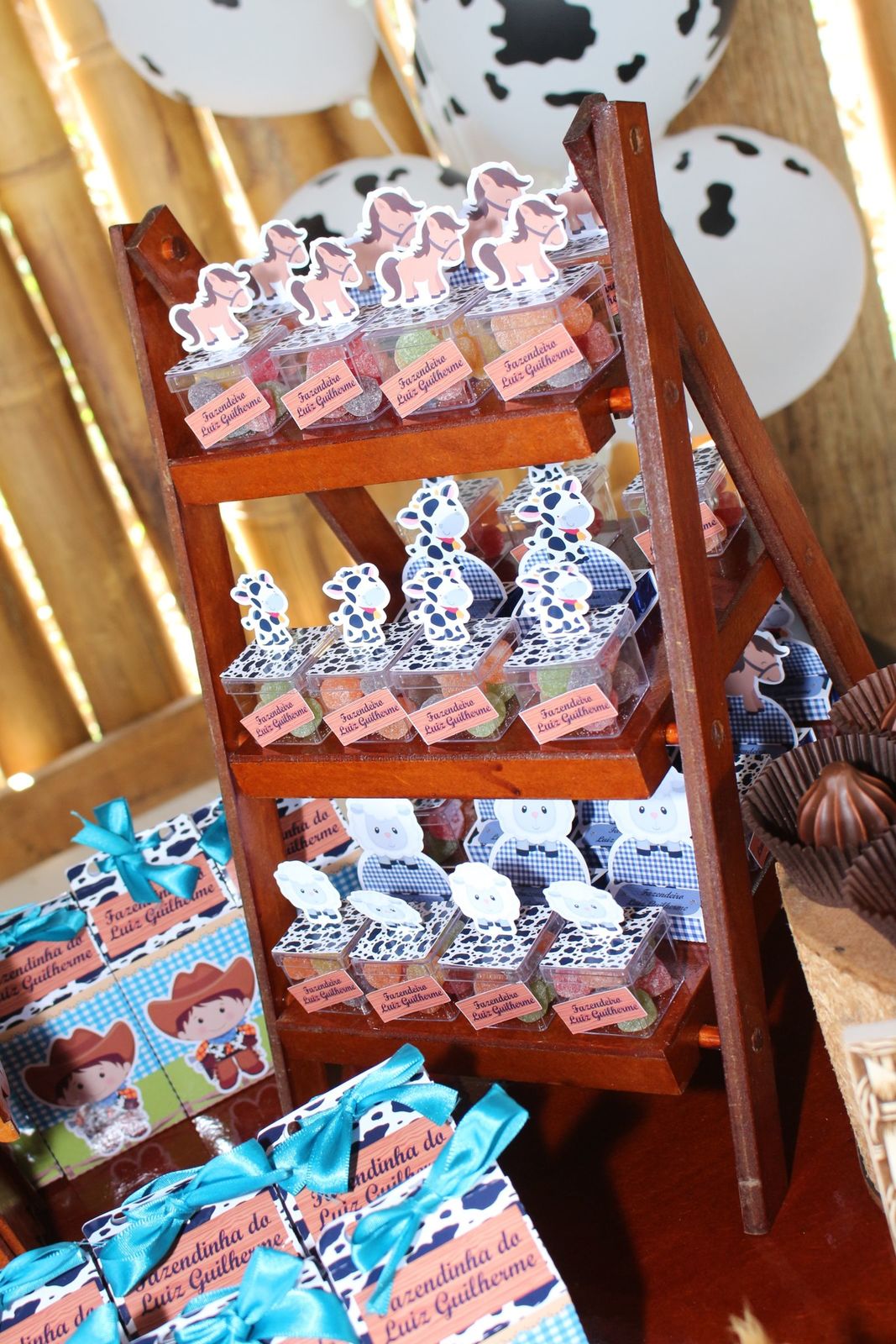 Foto Luiz guilherme 2 - Fazendinha - Imagem 9