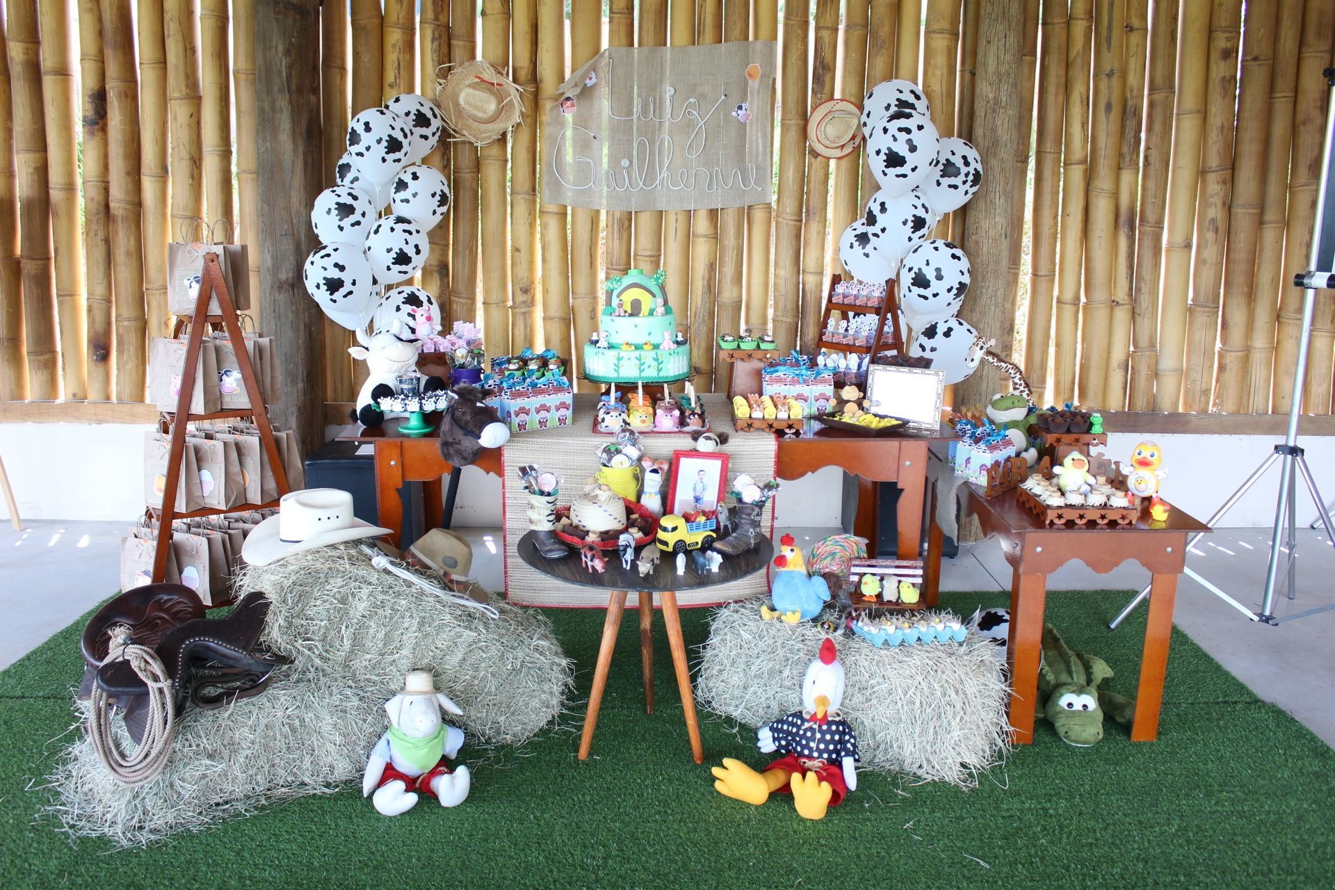 Foto Luiz guilherme 2 - Fazendinha - Imagem 1