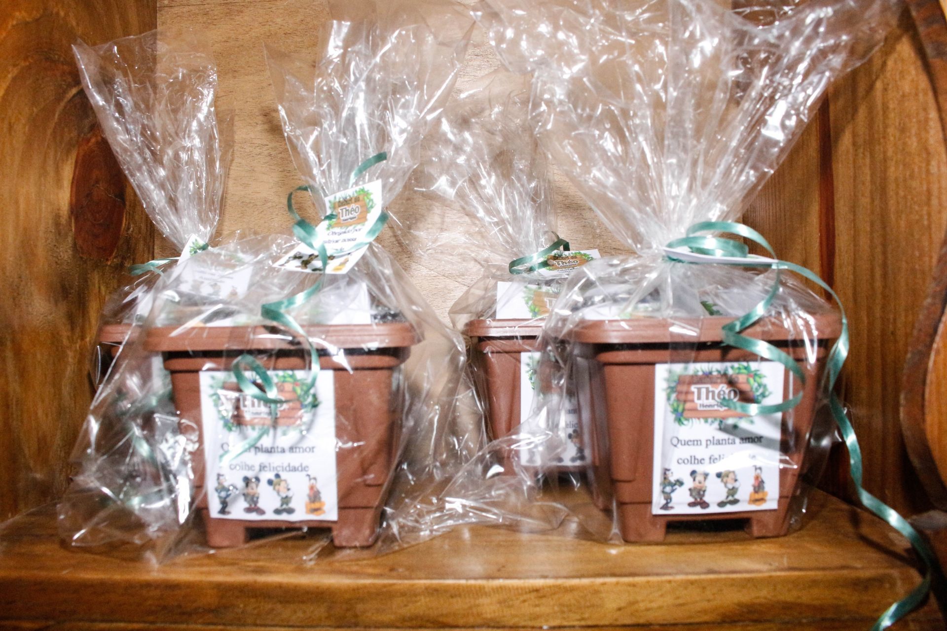 Foto Théo 1 - Safari - Turma do Juba Buffet - Imagem 15