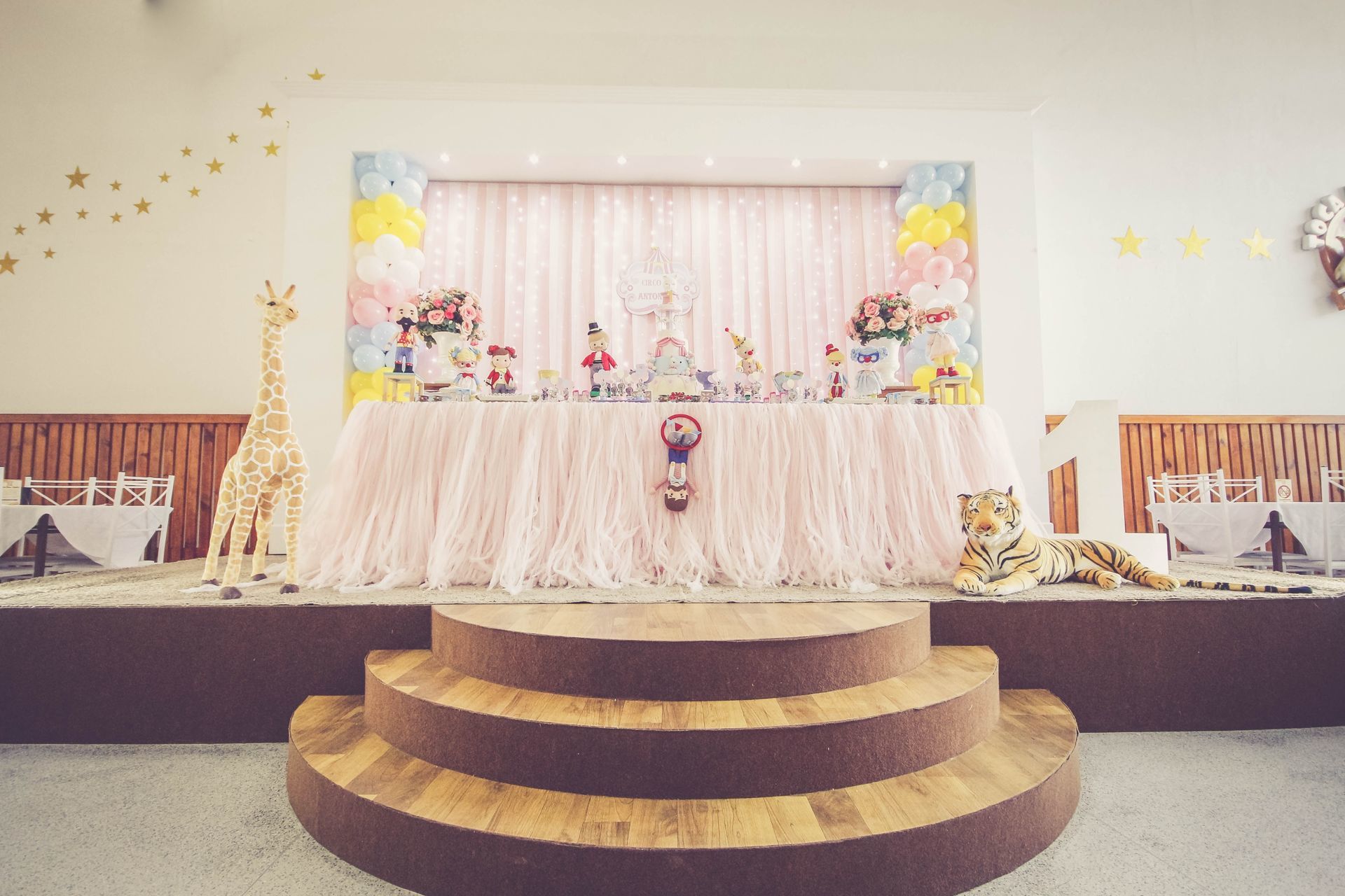 Foto Antonella 1 - Crico Rosa - Toca do Gato - Imagem 4