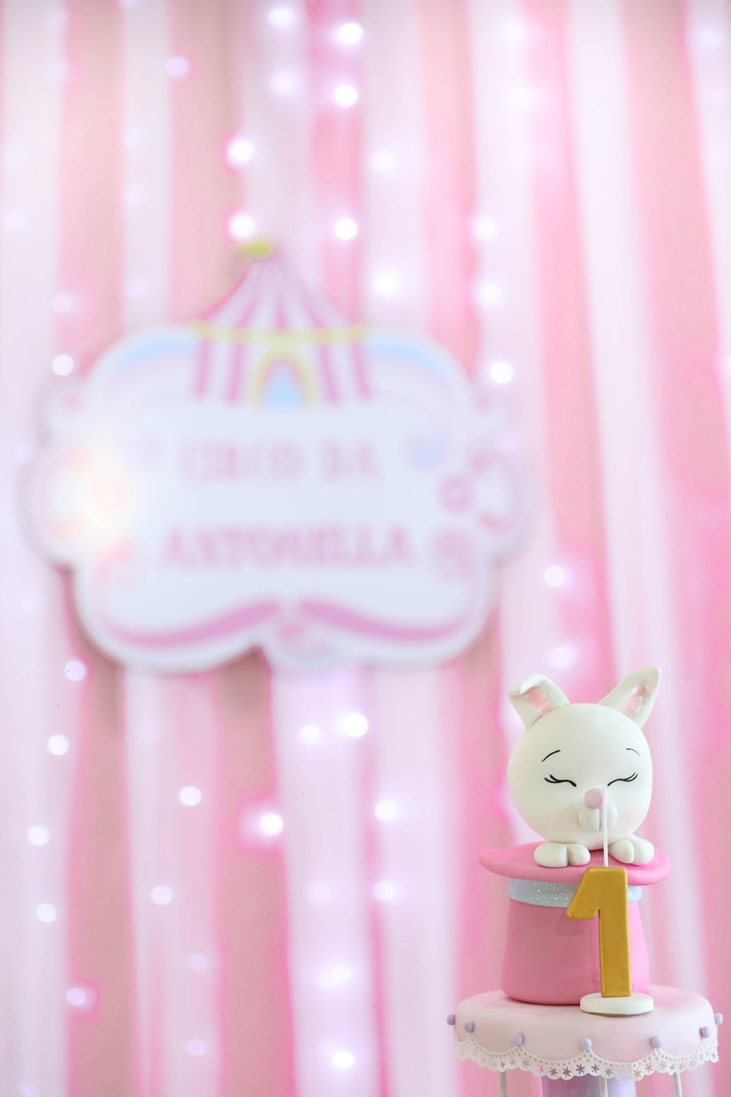 Foto Antonella 1 - Crico Rosa - Toca do Gato - Imagem 13