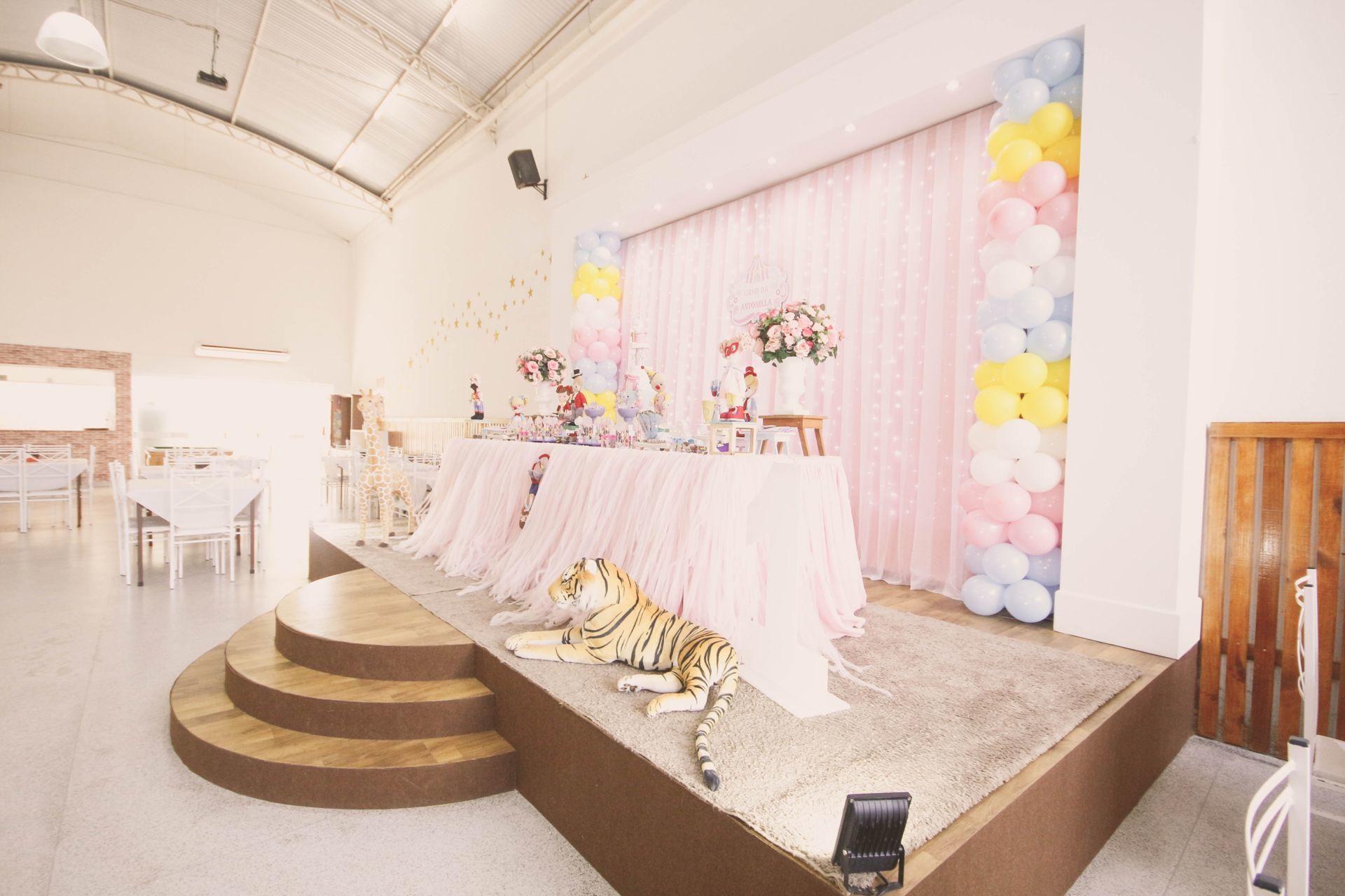 Foto Antonella 1 - Crico Rosa - Toca do Gato - Imagem 7