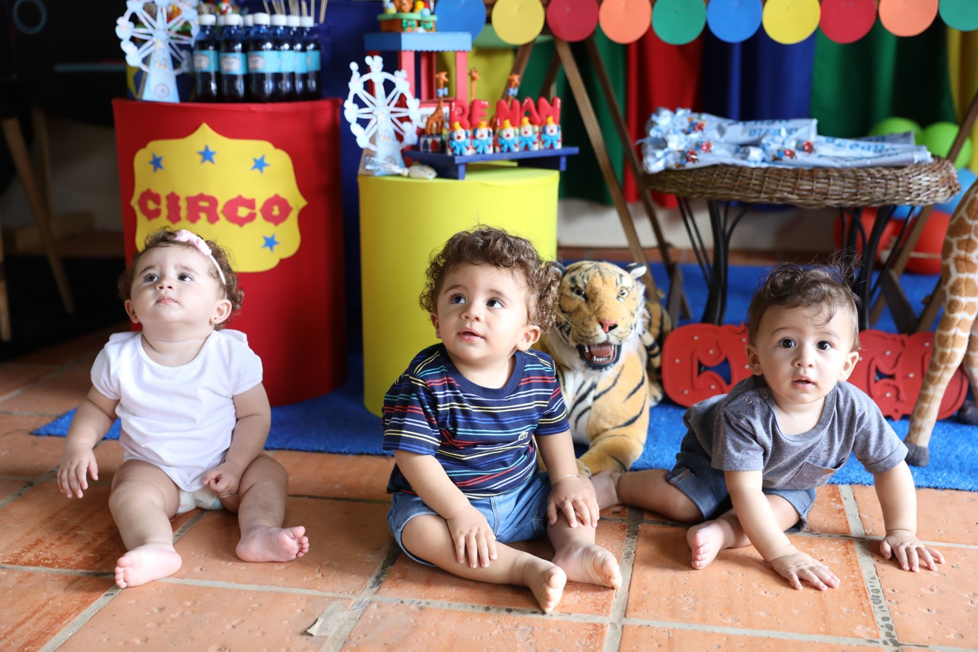 Foto Renan 1 - circo &  Beatrix Tik Tok - Imagem 13