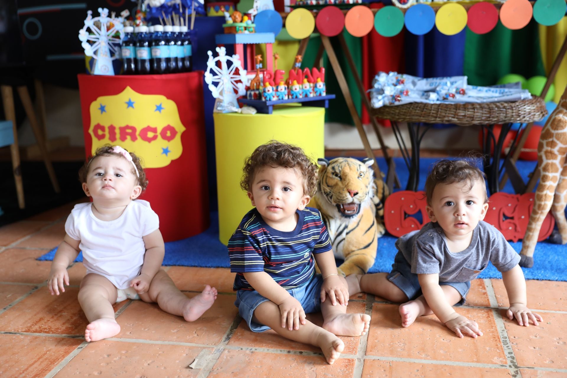 Foto Renan 1 - circo &  Beatrix Tik Tok - Imagem 14