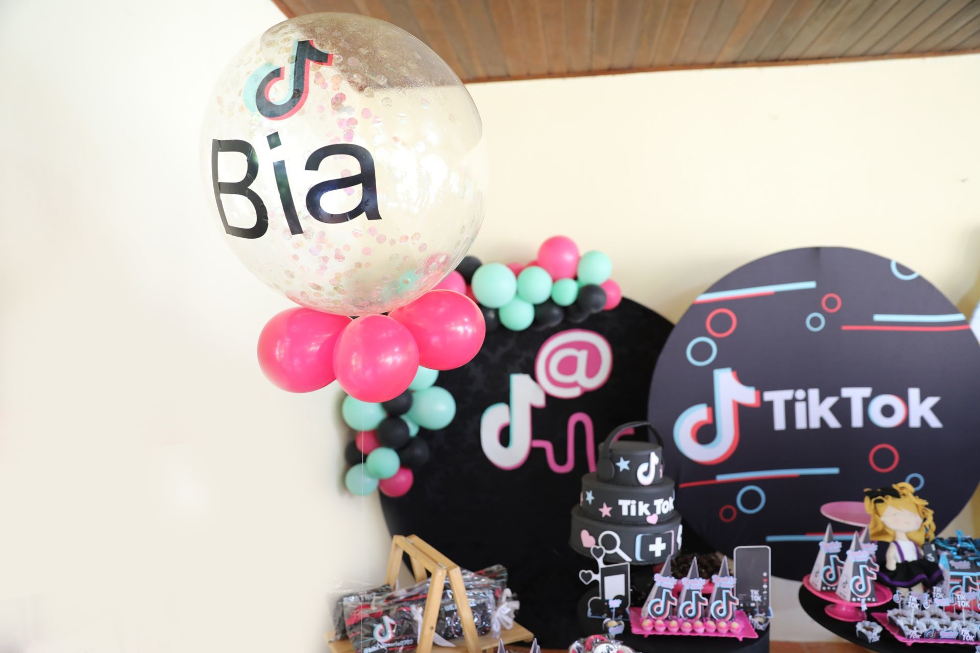 Foto Renan 1 - circo &  Beatrix Tik Tok - Imagem 19