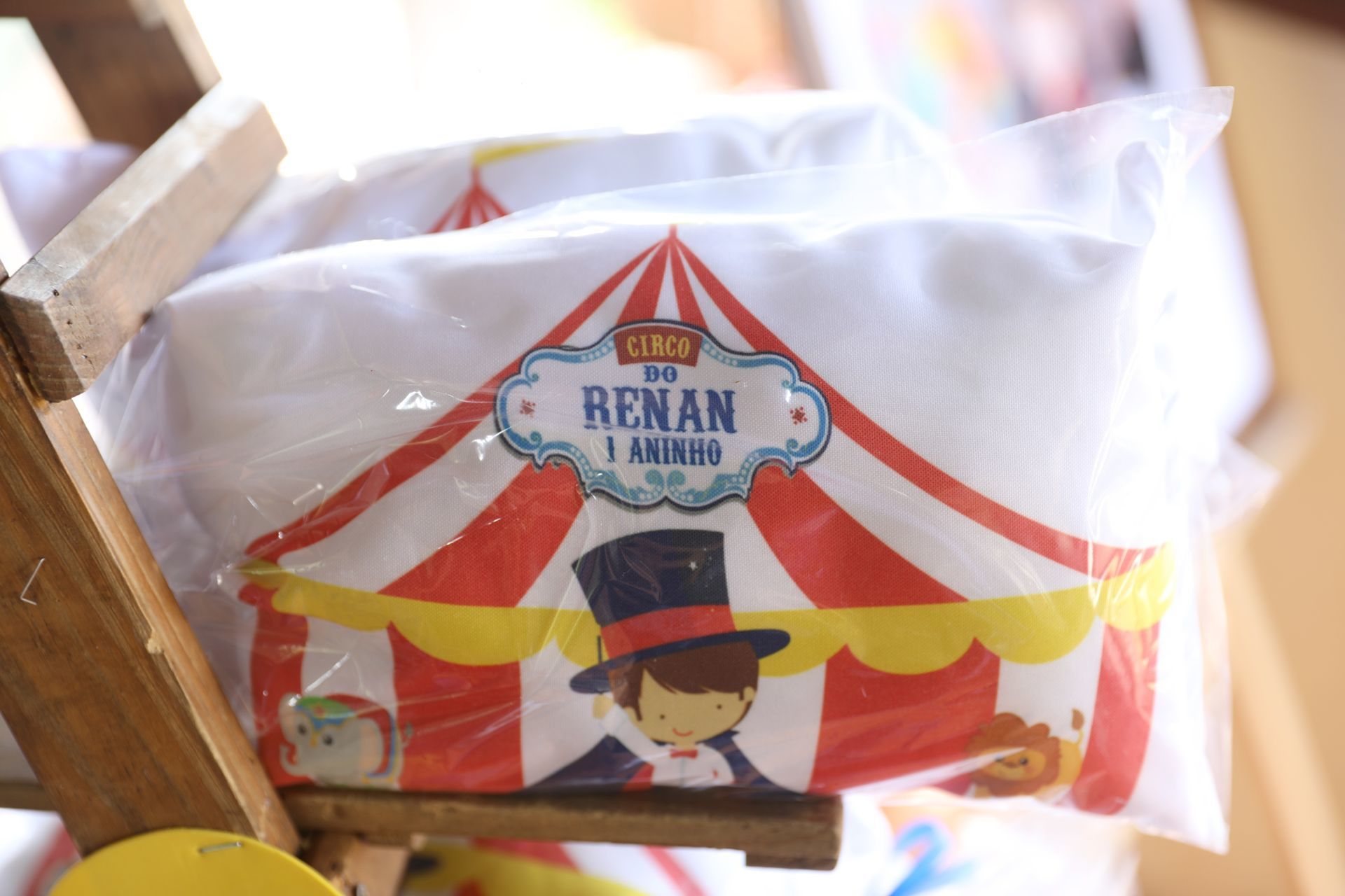 Foto Renan 1 - circo &  Beatrix Tik Tok - Imagem 28