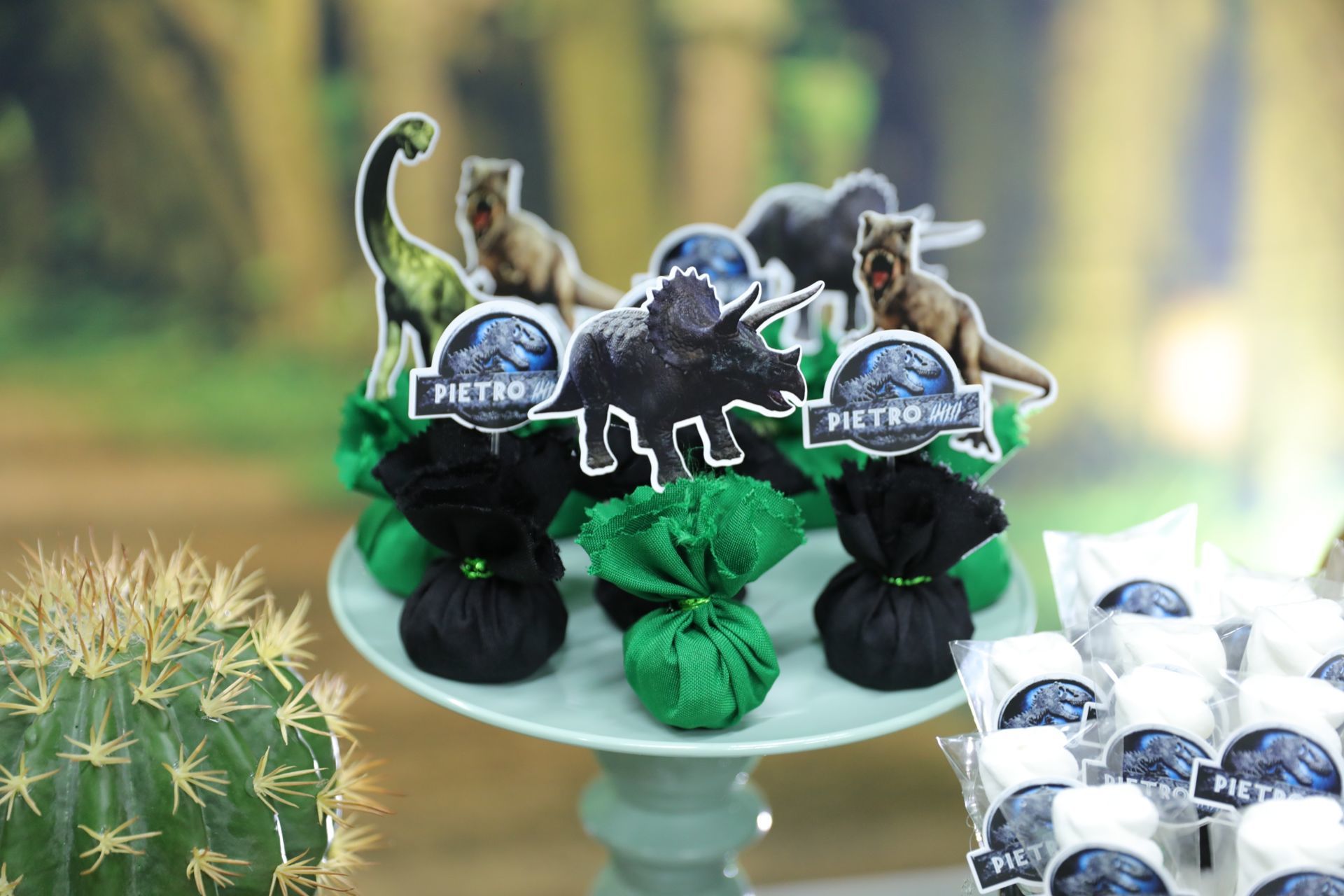 Foto Pietro 7 - Jurassic World - Turma do Juba Buffet - Imagem 16