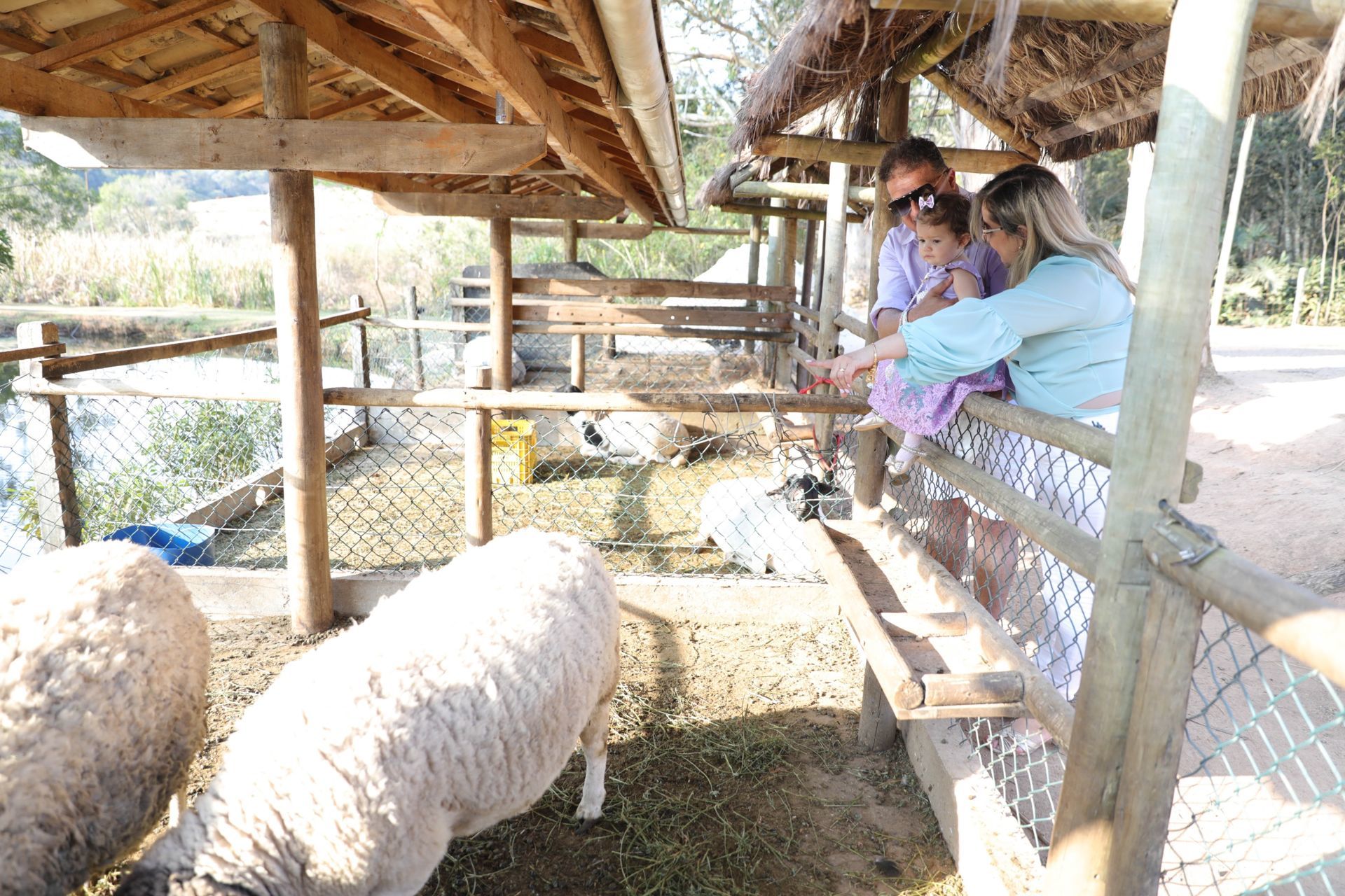 Foto Julia 1 aninho  - Gardem - Fazenda Paraiso - Imagem 35