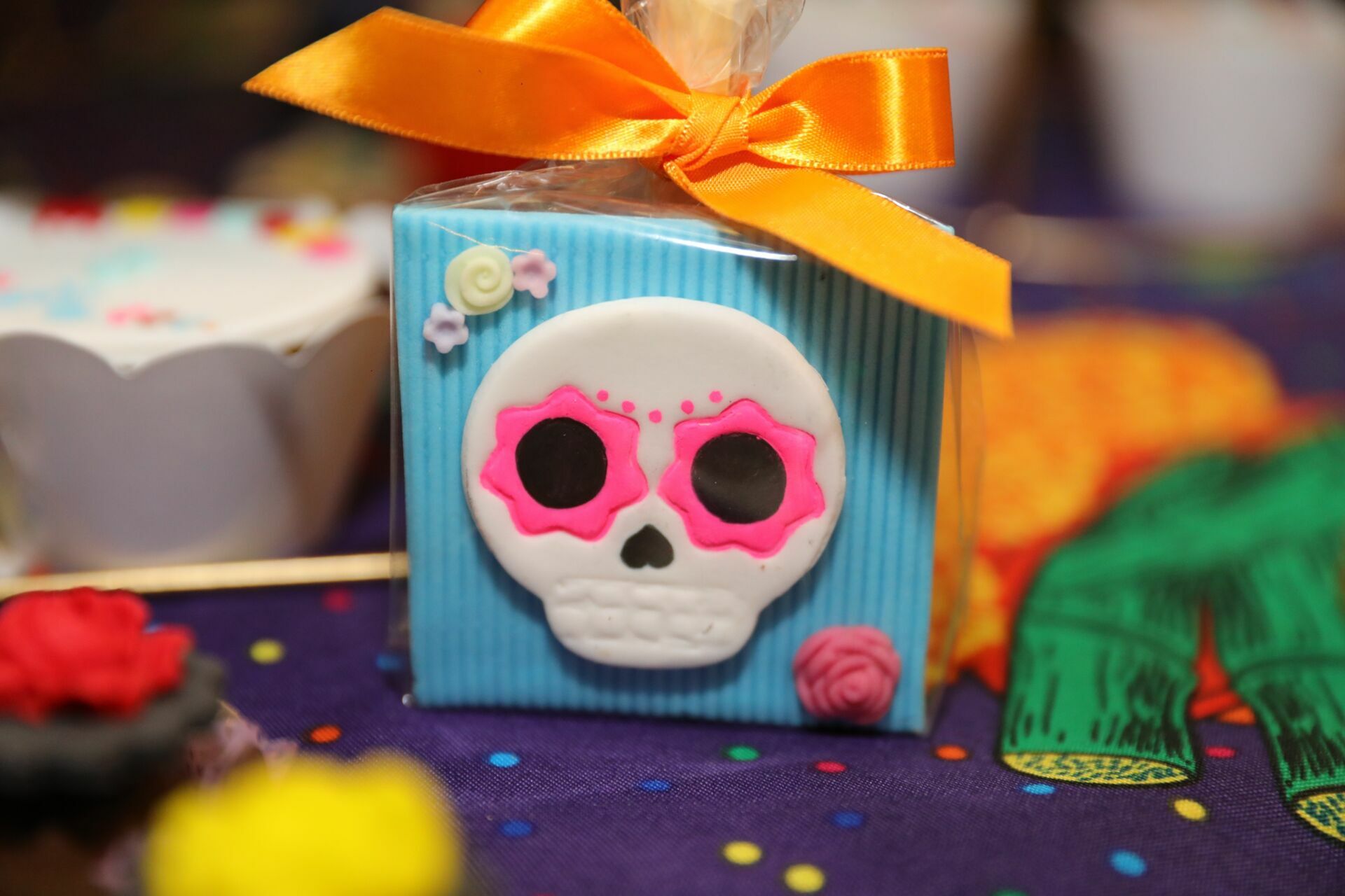 Foto Manu - Viva La vida - Imagem 8