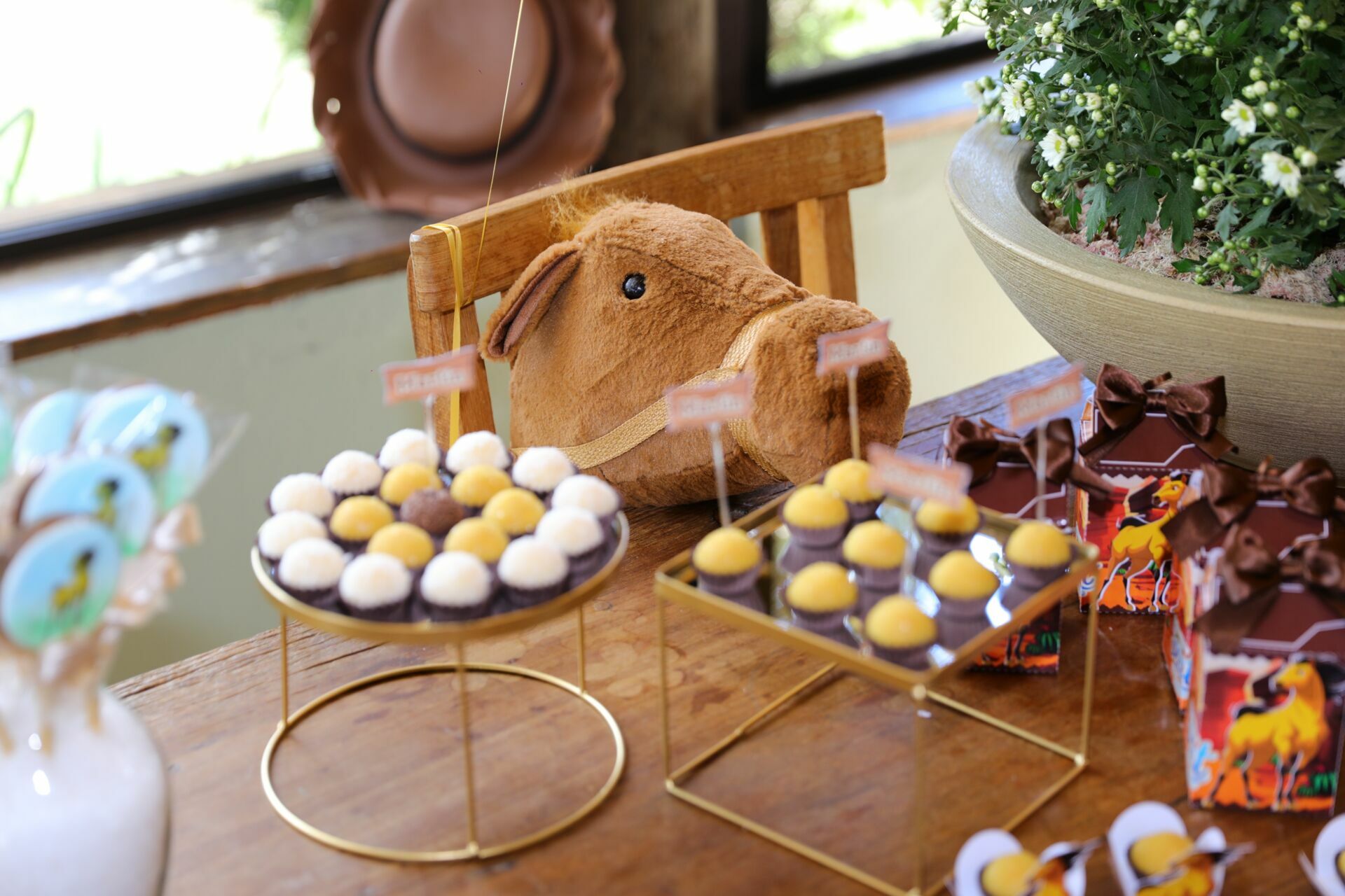 Foto Martin - Spirity - Imagem 9