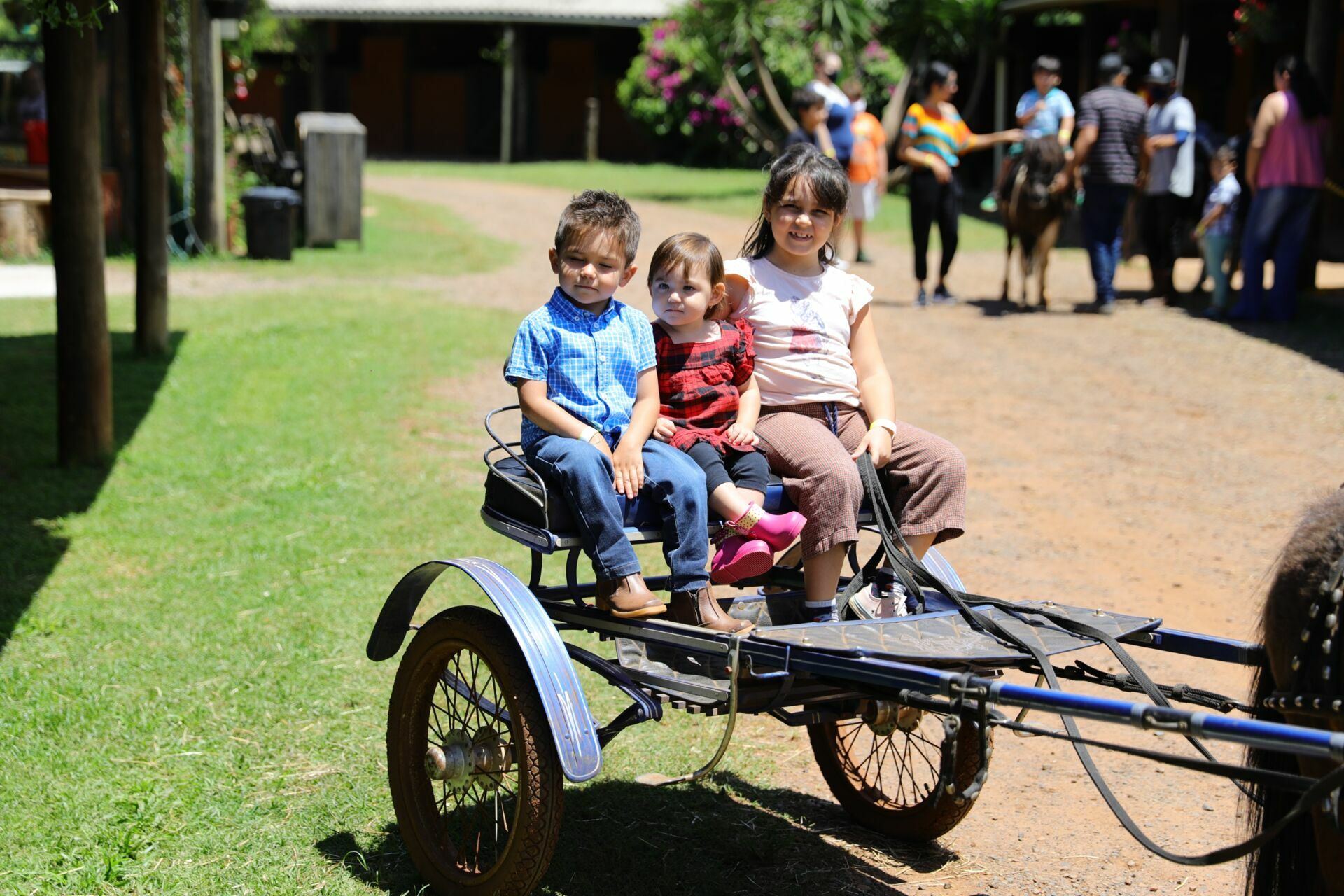 Foto Martin - Spirity - Imagem 17