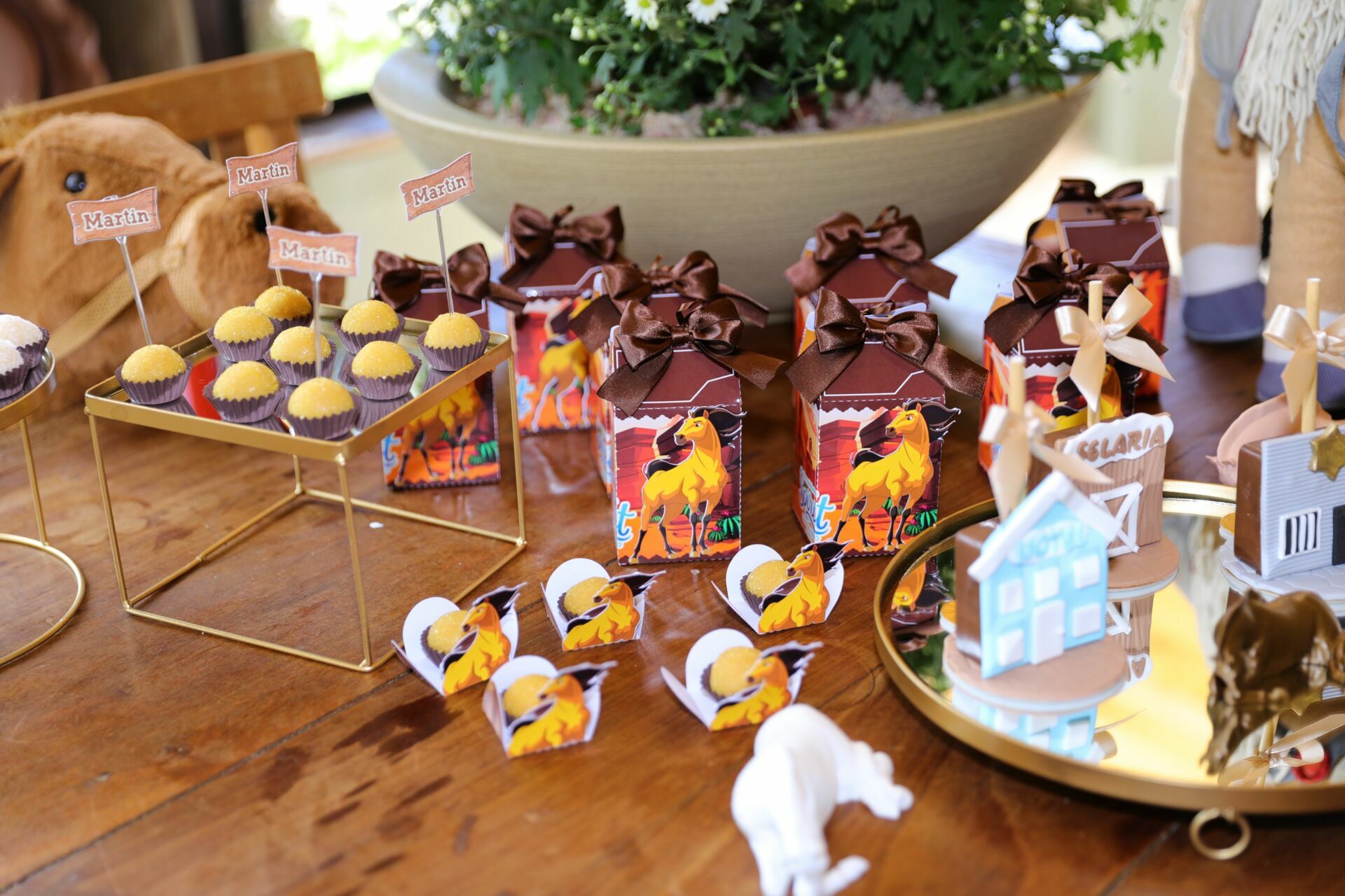 Foto Martin - Spirity - Imagem 8