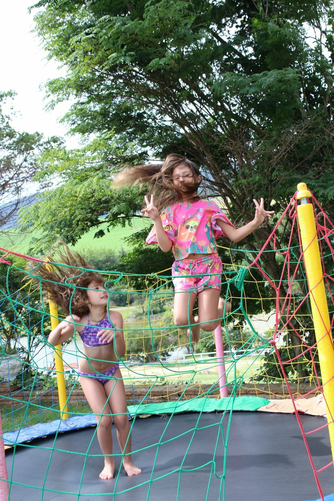 Foto Laura 8 - Havai - Fazenda Nova Esperança - Imagem 10