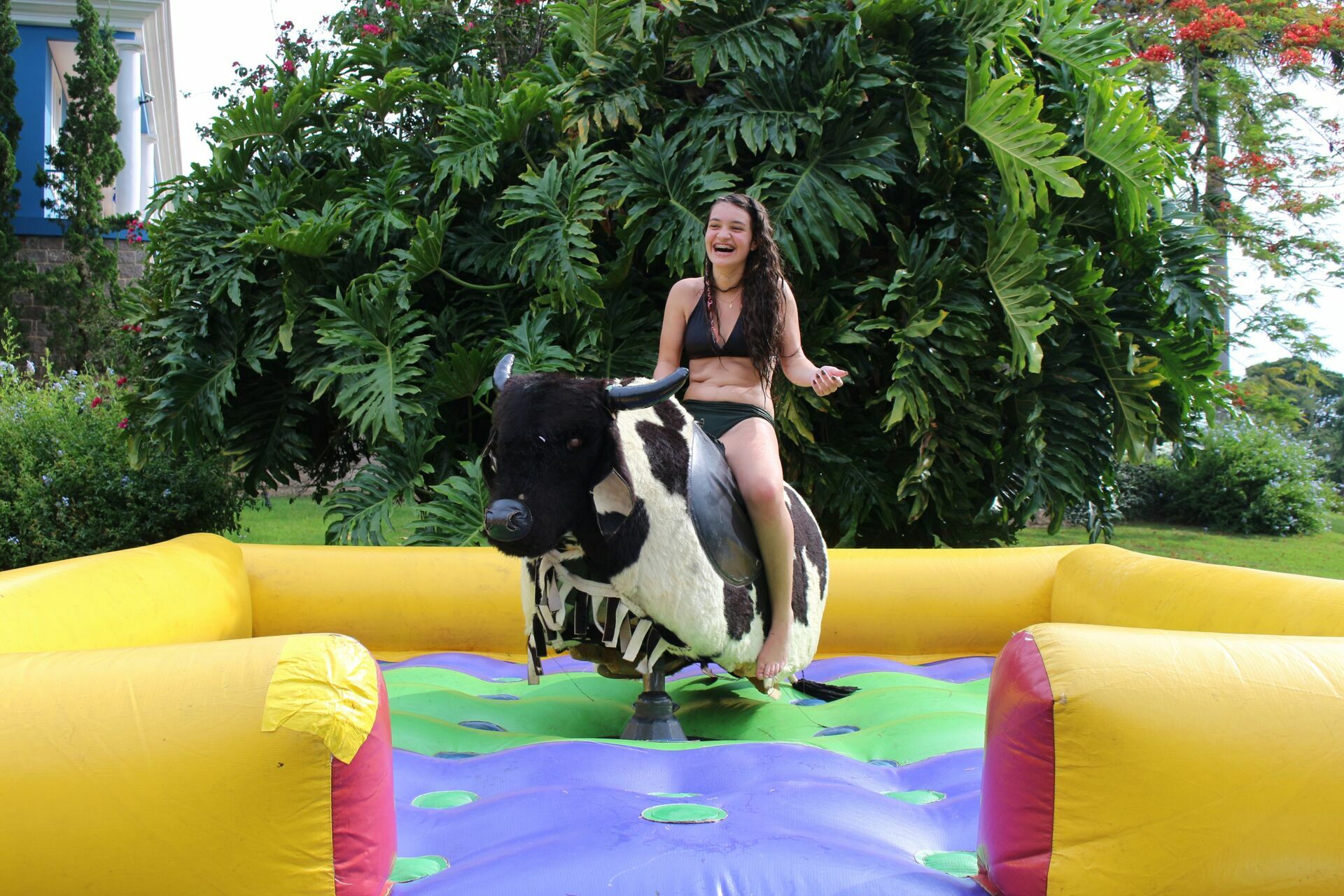 Foto Laura 8 - Havai - Fazenda Nova Esperança - Imagem 13