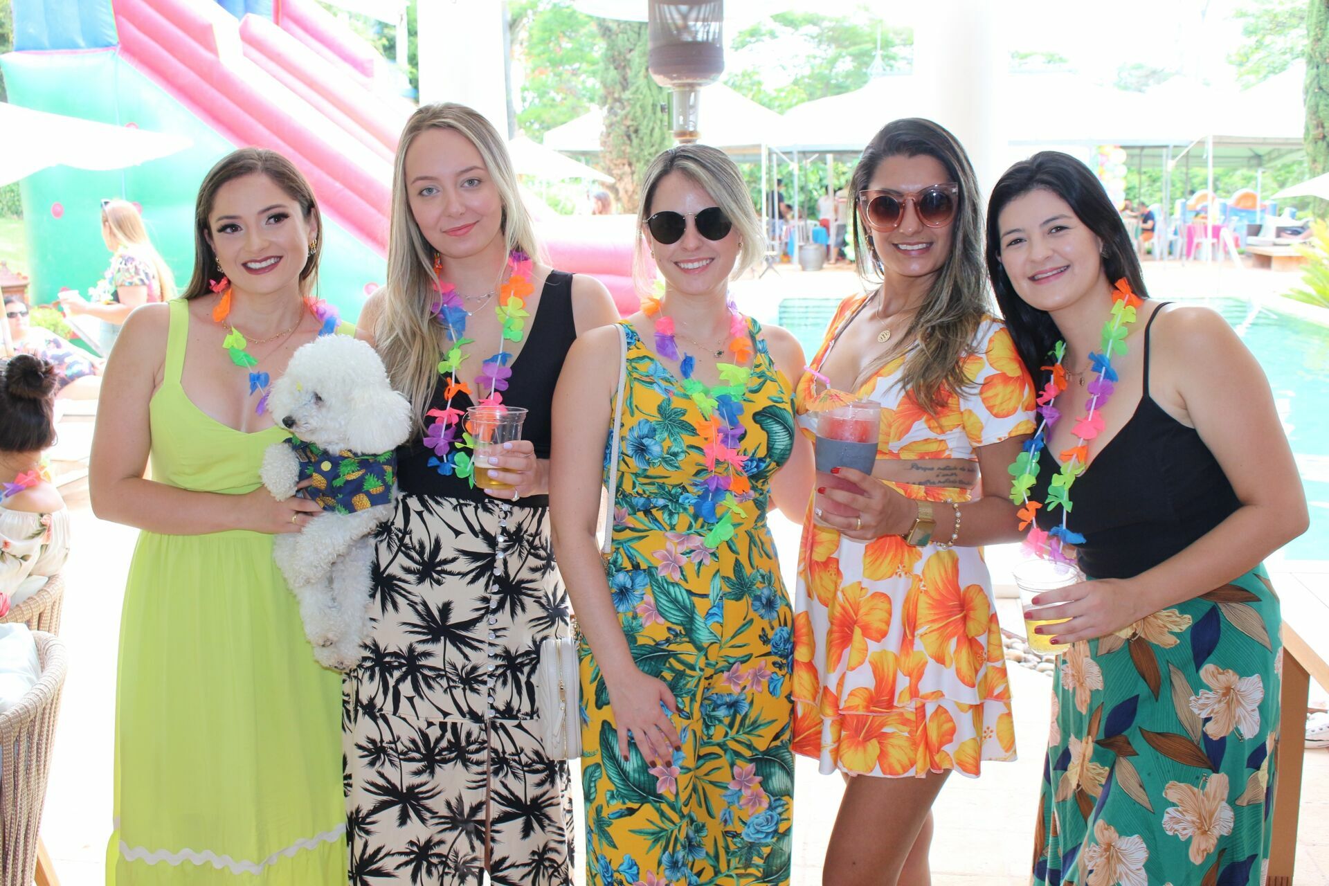 Foto Laura 8 - Havai - Fazenda Nova Esperança - Imagem 42