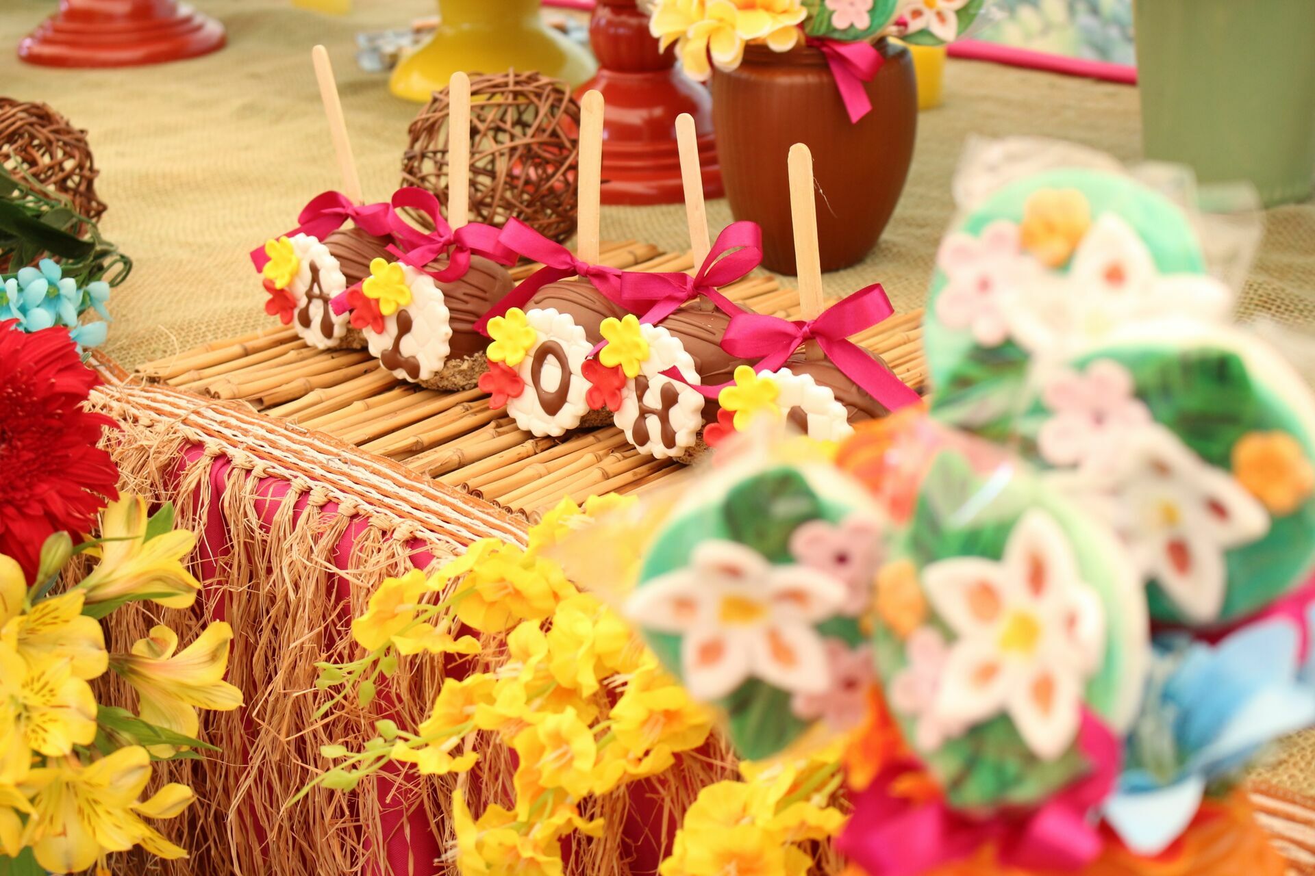 Foto Laura 8 - Havai - Fazenda Nova Esperança - Imagem 39