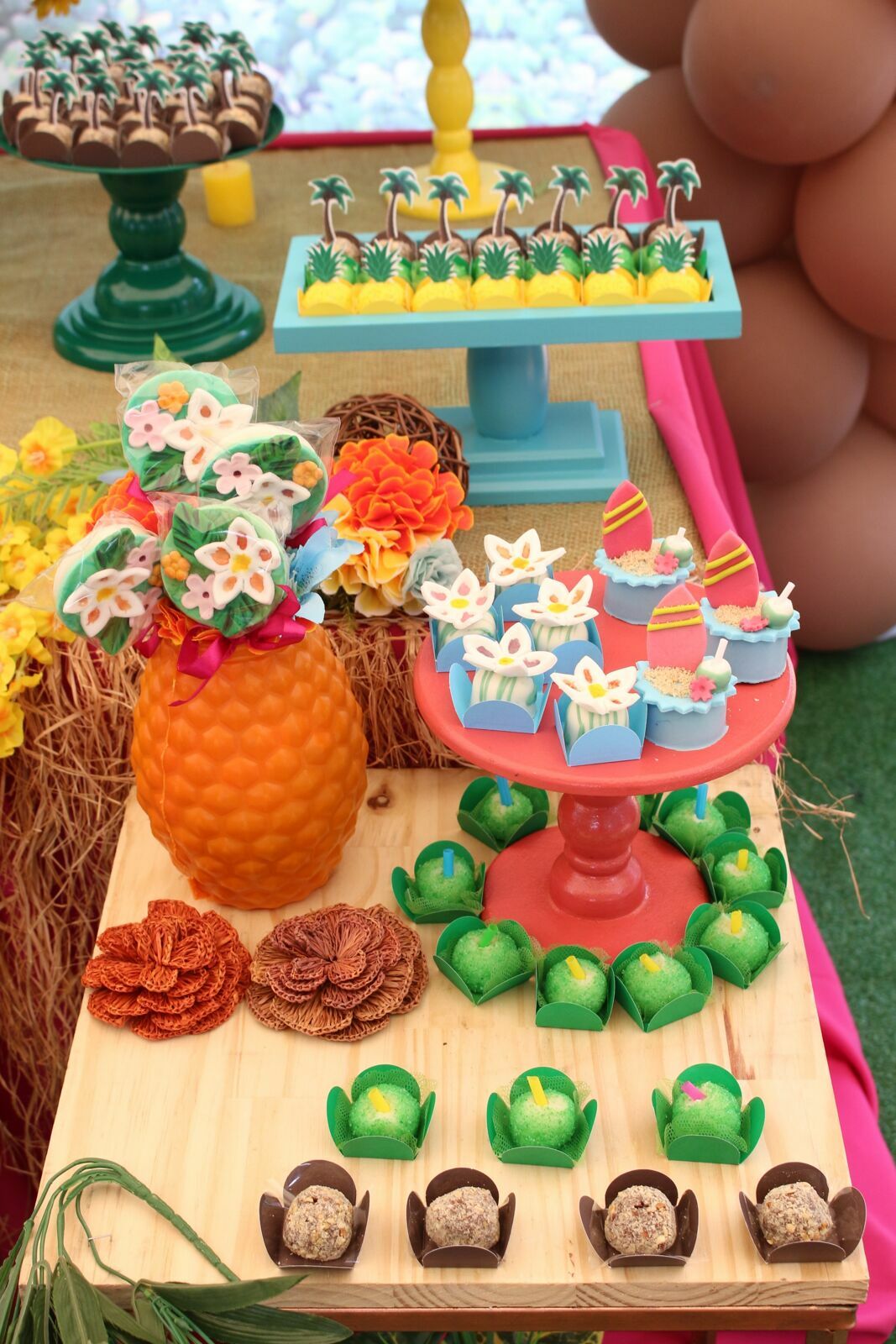 Foto Laura 8 - Havai - Fazenda Nova Esperança - Imagem 30