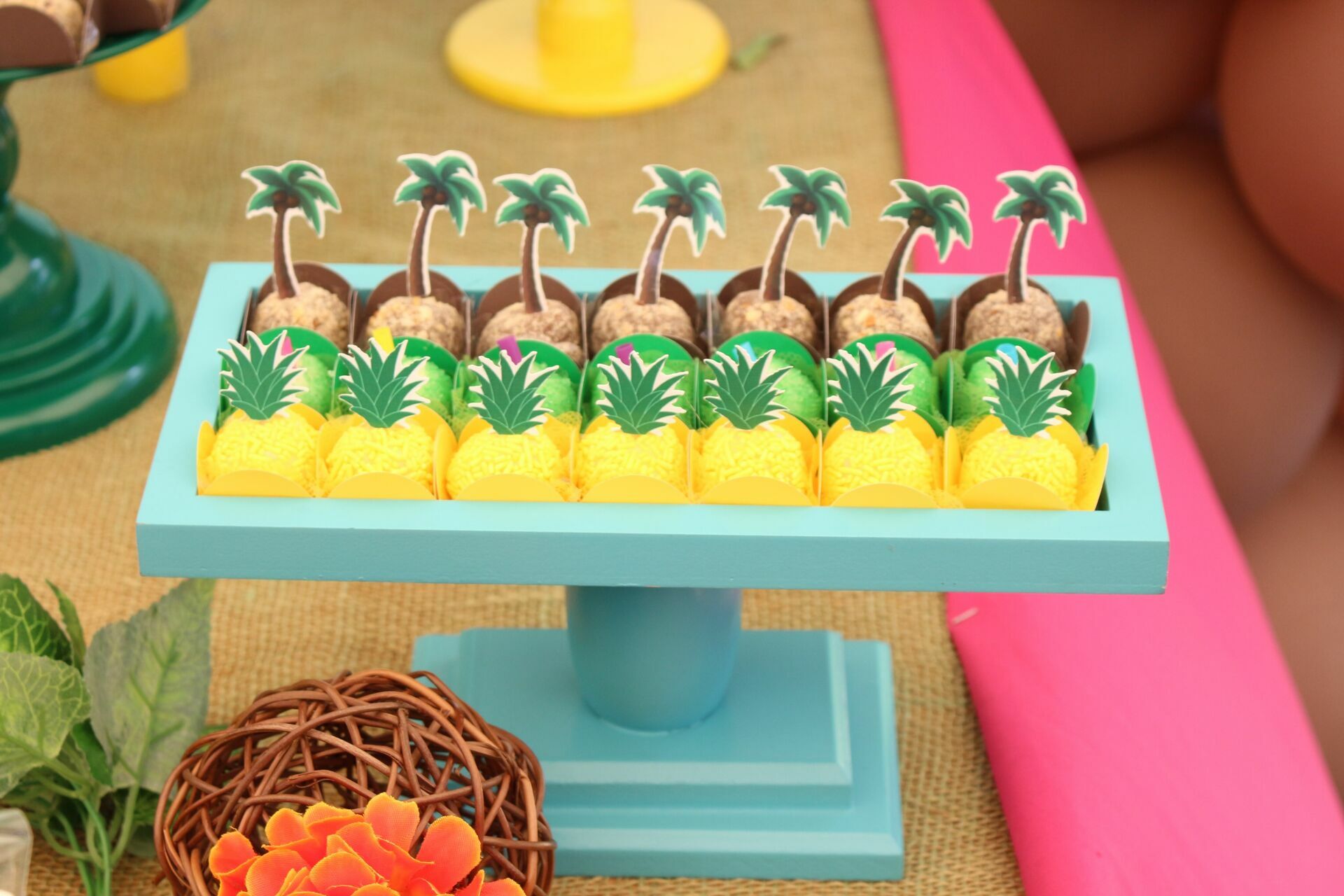 Foto Laura 8 - Havai - Fazenda Nova Esperança - Imagem 31