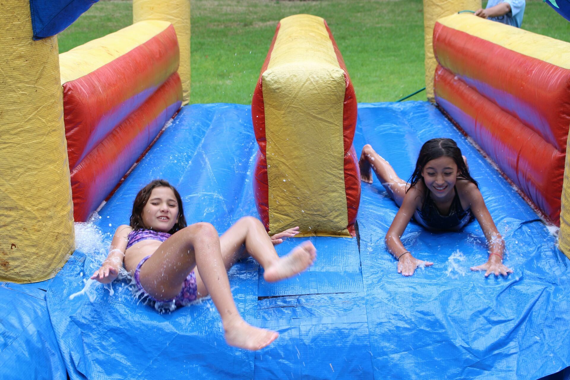 Foto Laura 8 - Havai - Fazenda Nova Esperança - Imagem 45