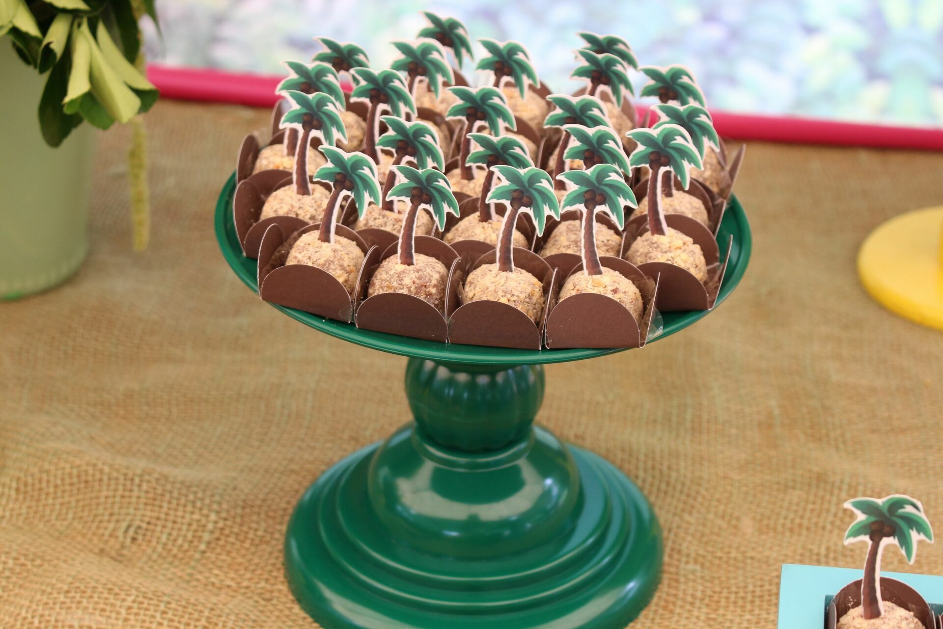 Foto Laura 8 - Havai - Fazenda Nova Esperança - Imagem 32