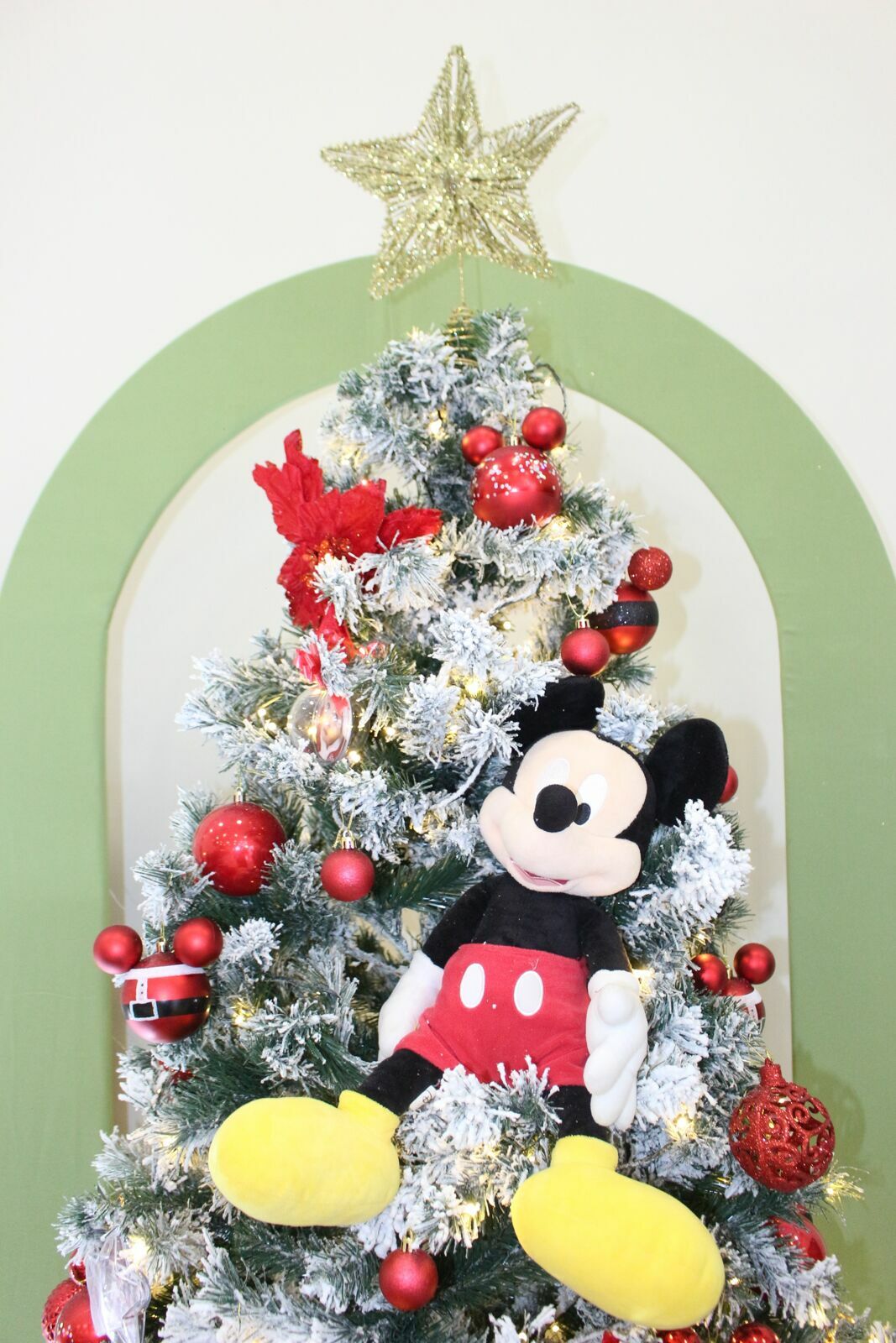 Foto Gabriel 1 - Mickey no Natal - SPLASH Buffet - Imagem 16