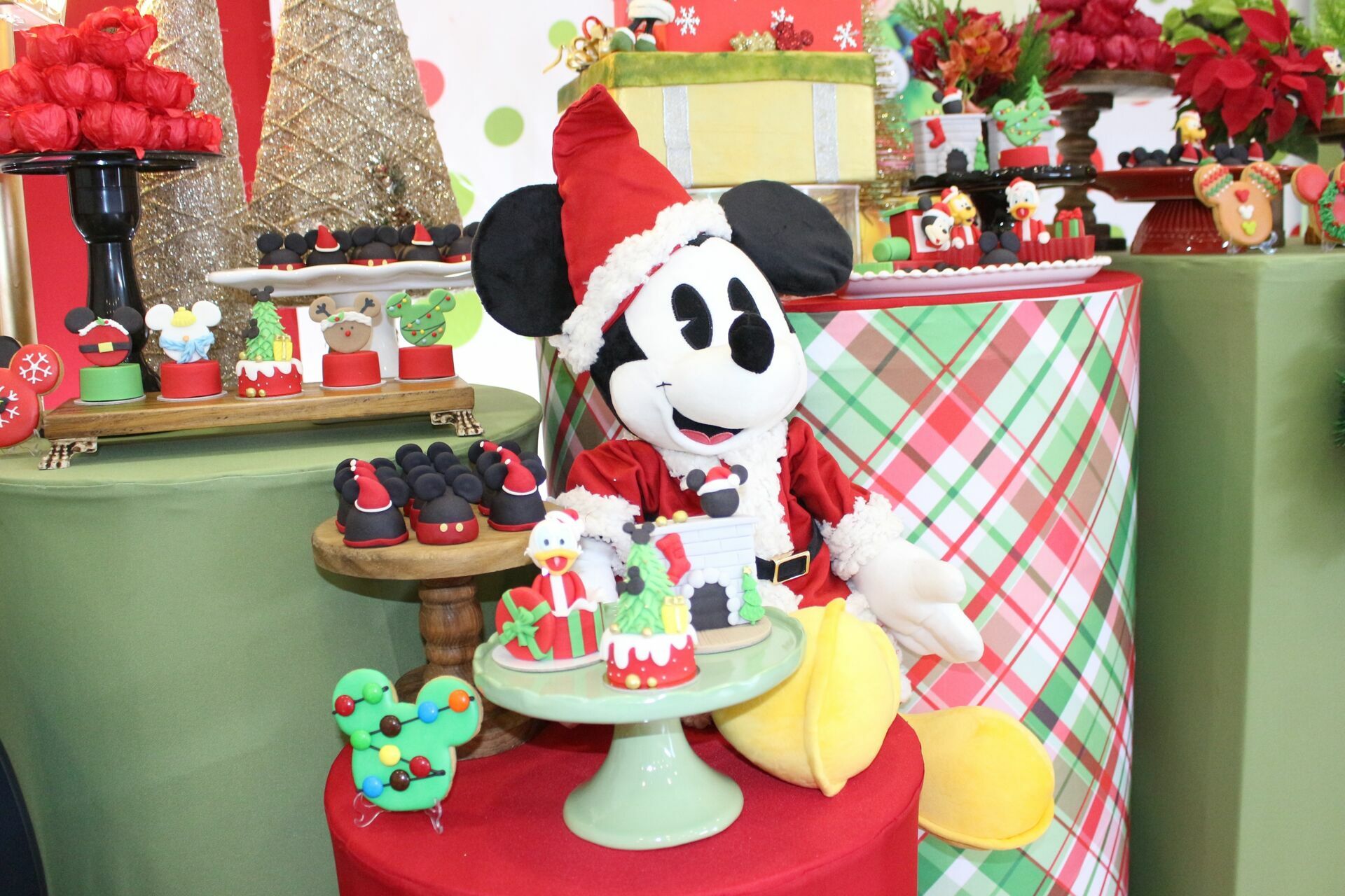 Foto Gabriel 1 - Mickey no Natal - SPLASH Buffet - Imagem 5